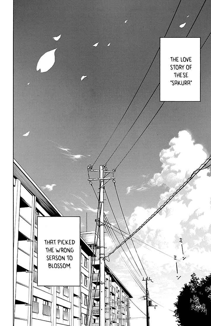 Page 24 Chapter 26 Sakura Discord