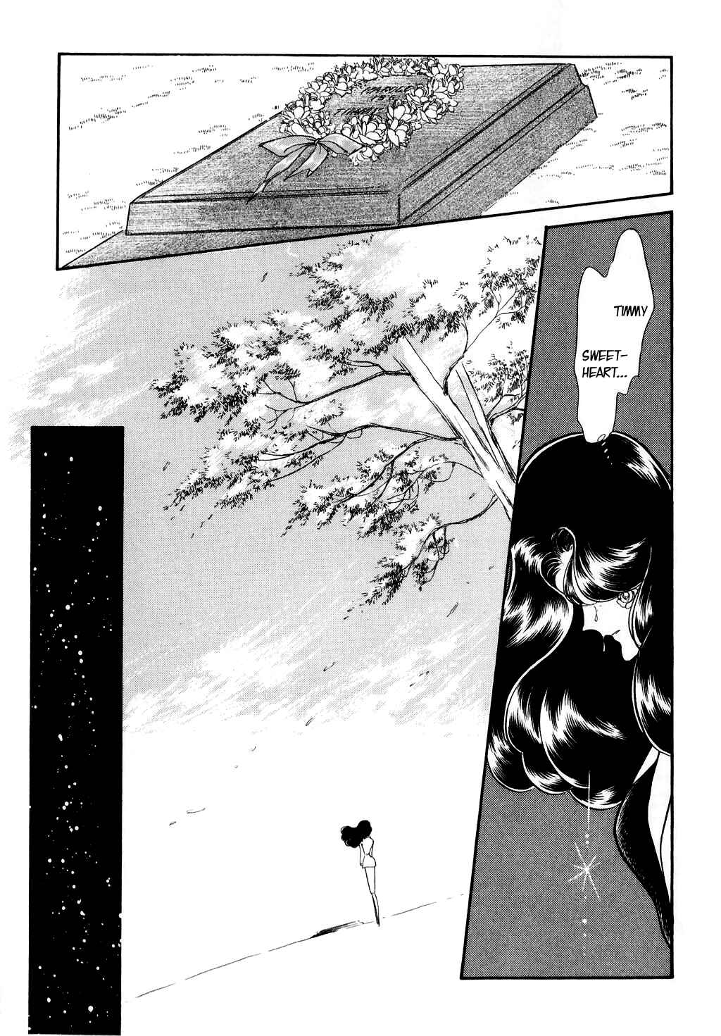 Page 14 Chapter 8 Desert Rose