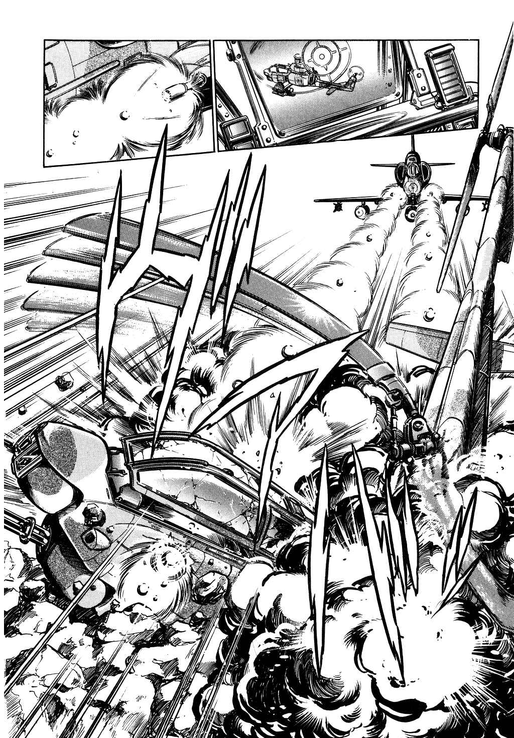 Page 14 Chapter 43 Desert Rose