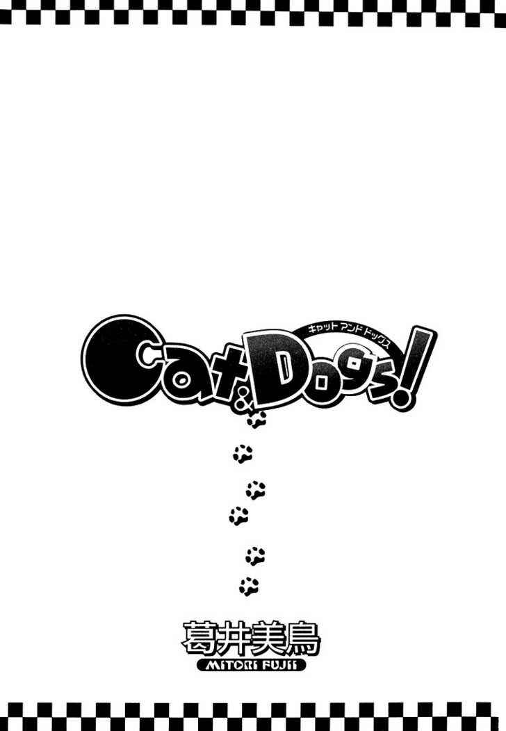 Page 3 Chapter 1 Cat & Dogs!