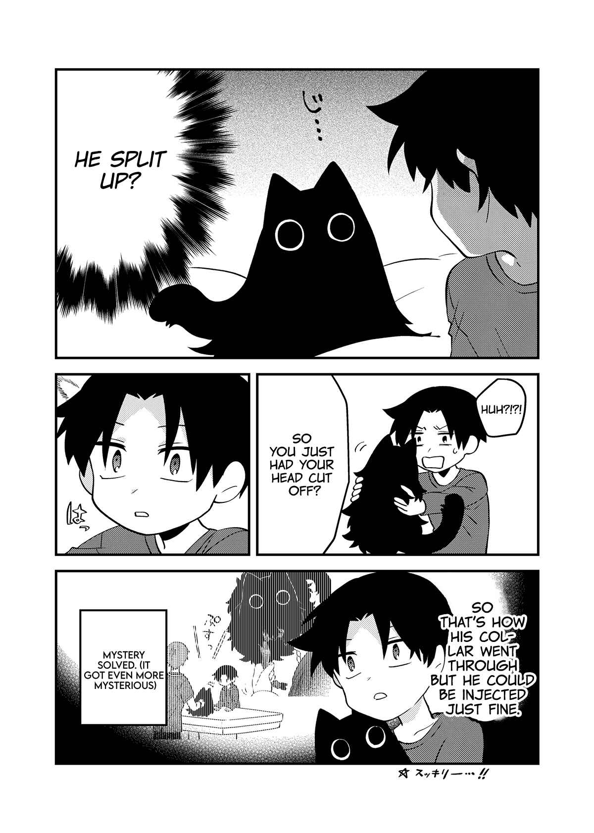 Page 4 Chapter 10 Something Like a Cat