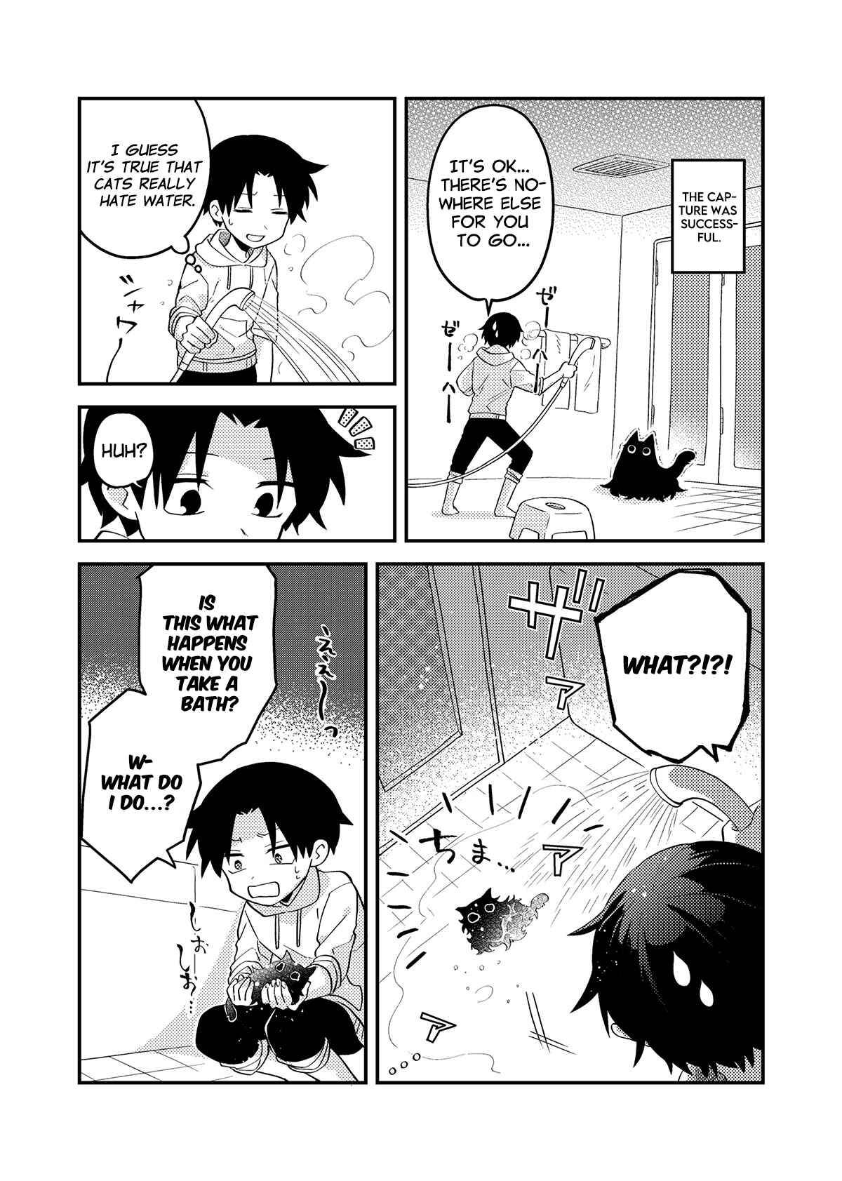 Page 3 Chapter 3 Something Like a Cat