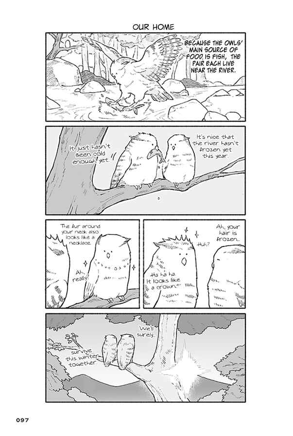 Page 23 Chapter 3 Bear and Tanuki