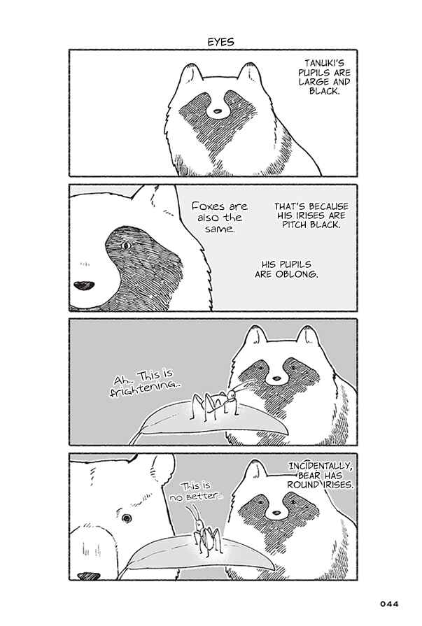 Page 8 Chapter 2 Bear and Tanuki