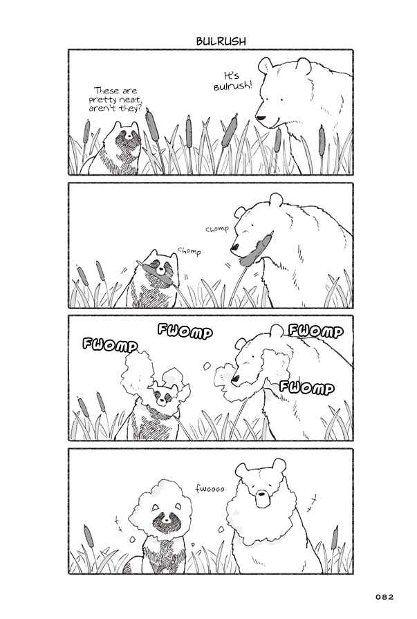Page 20 Chapter 3 Bear and Tanuki