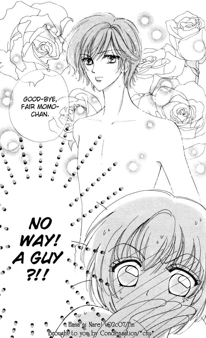 Page 24 Chapter 7 Hana ni Nare!
