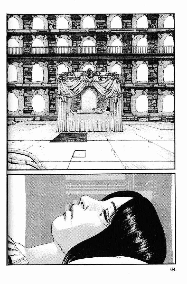 Page 6 Chapter 213 ARMS