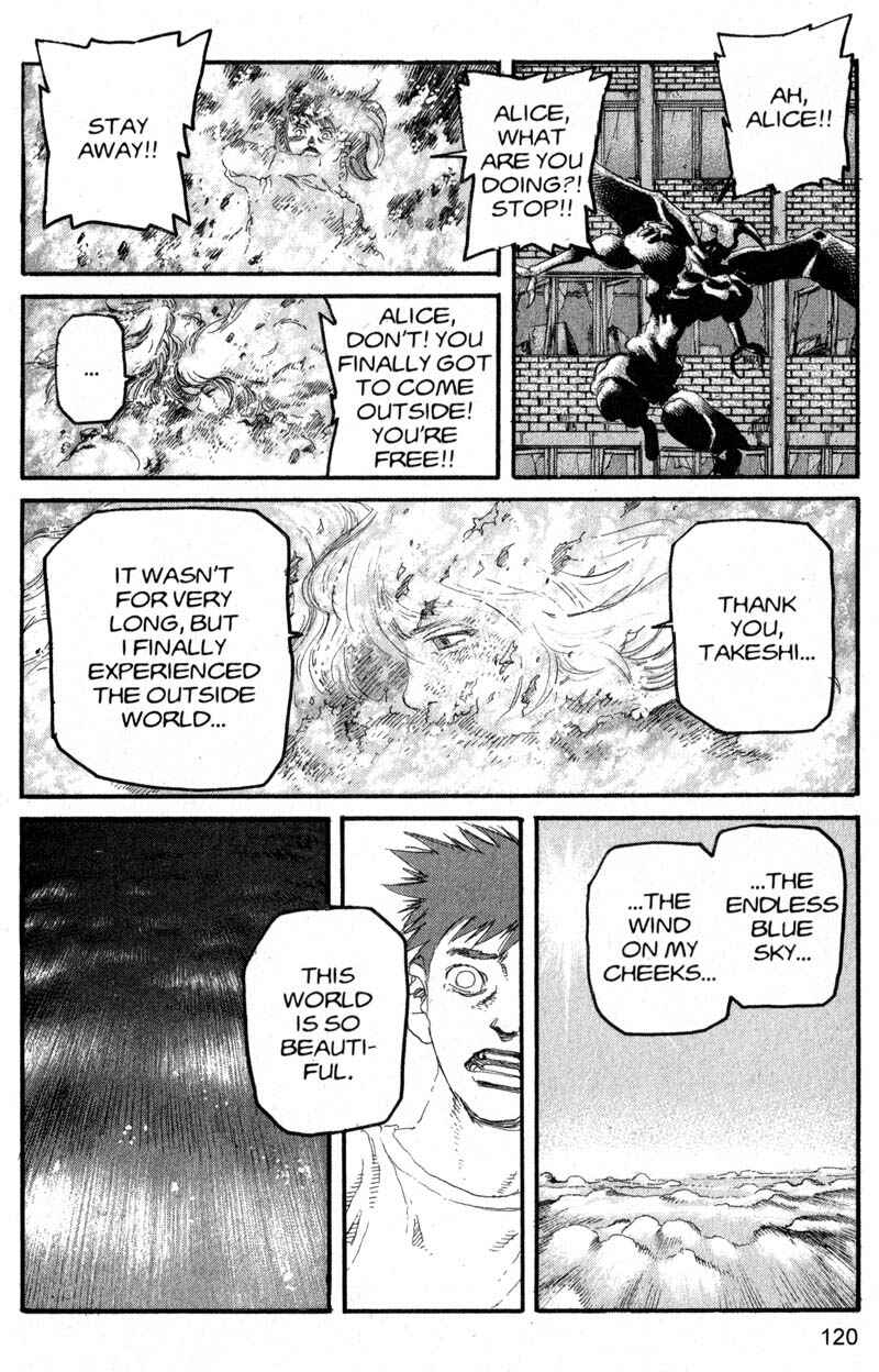 Page 8 Chapter 205 ARMS