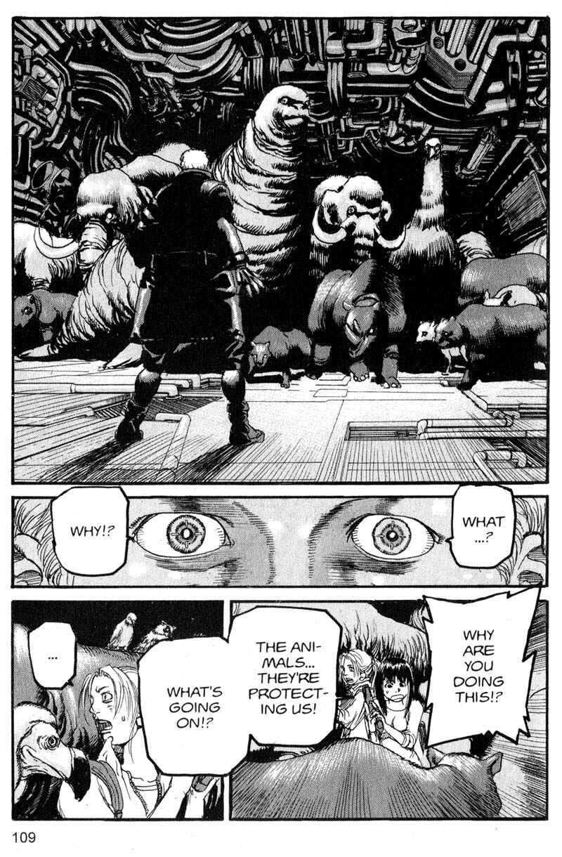 Page 13 Chapter 171 ARMS