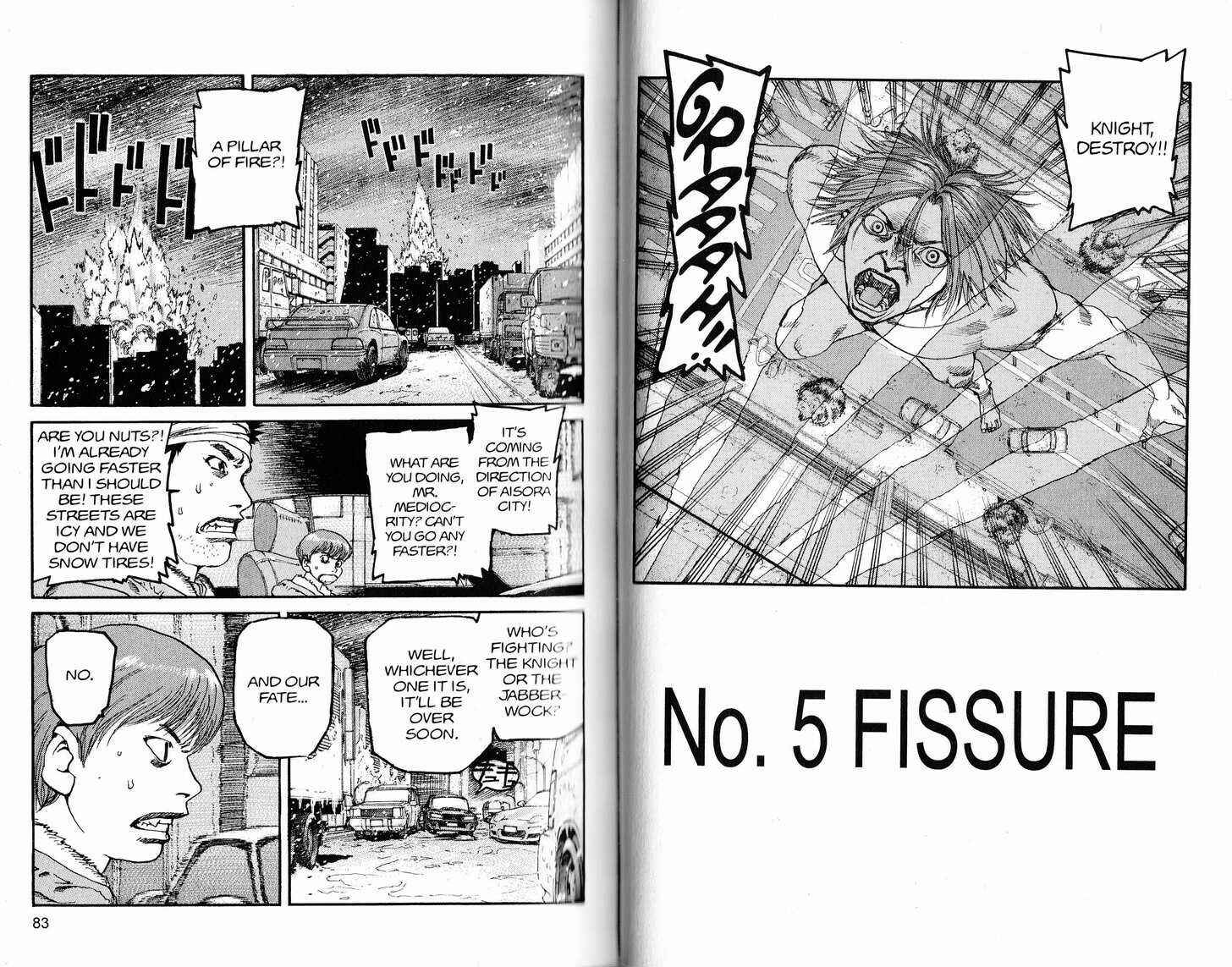 Page 2 Chapter 236 ARMS