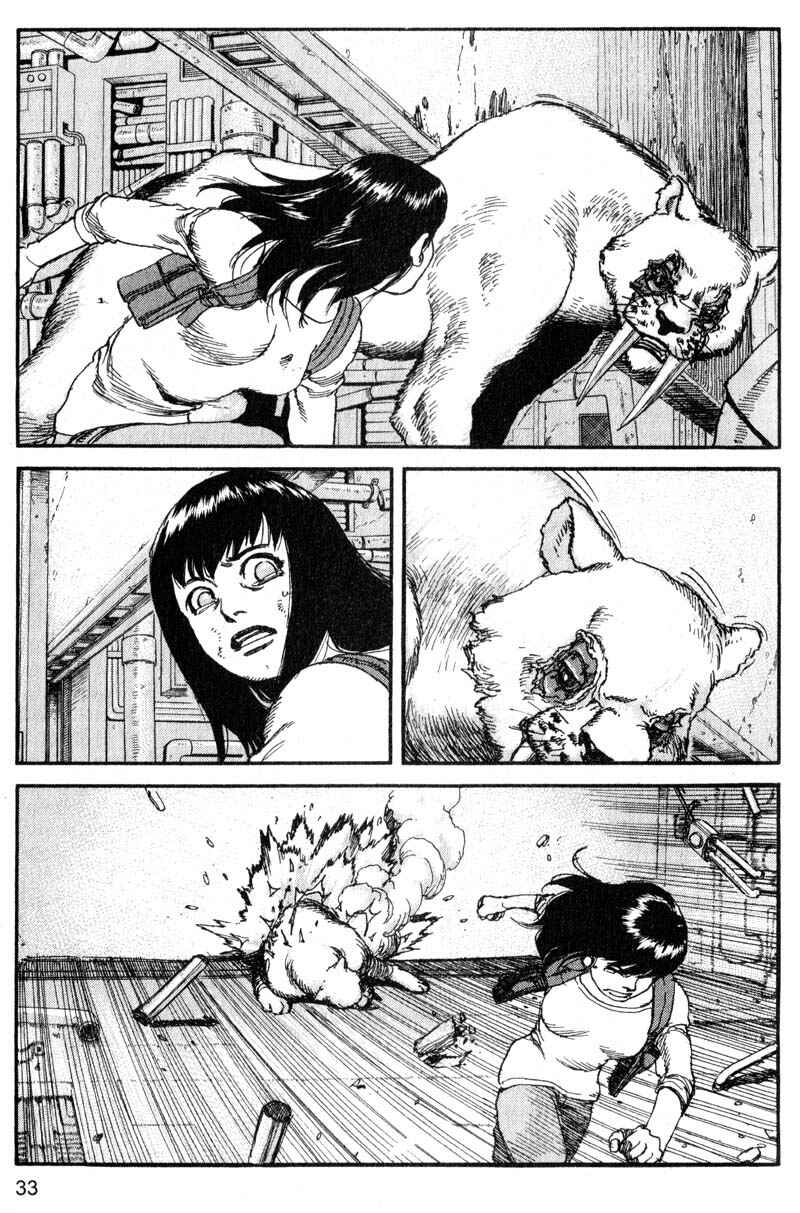Page 12 Chapter 178 ARMS