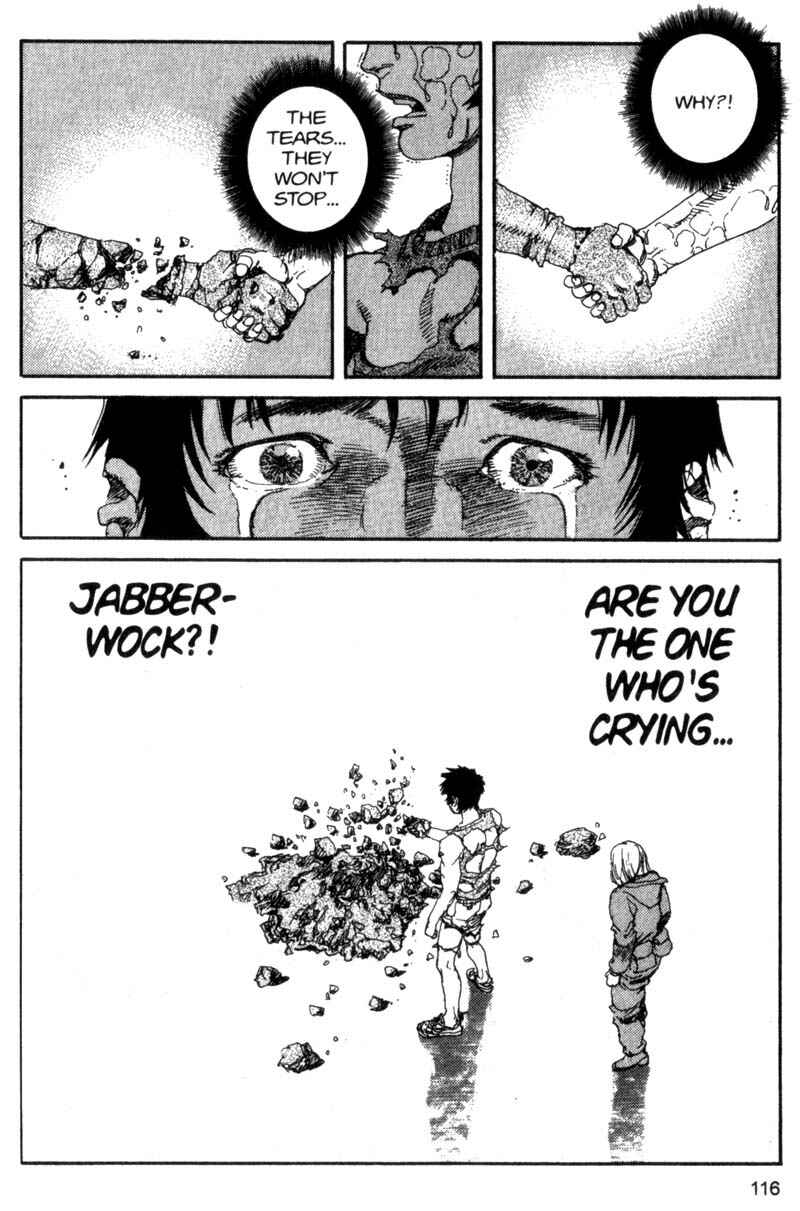 Page 19 Chapter 94 ARMS