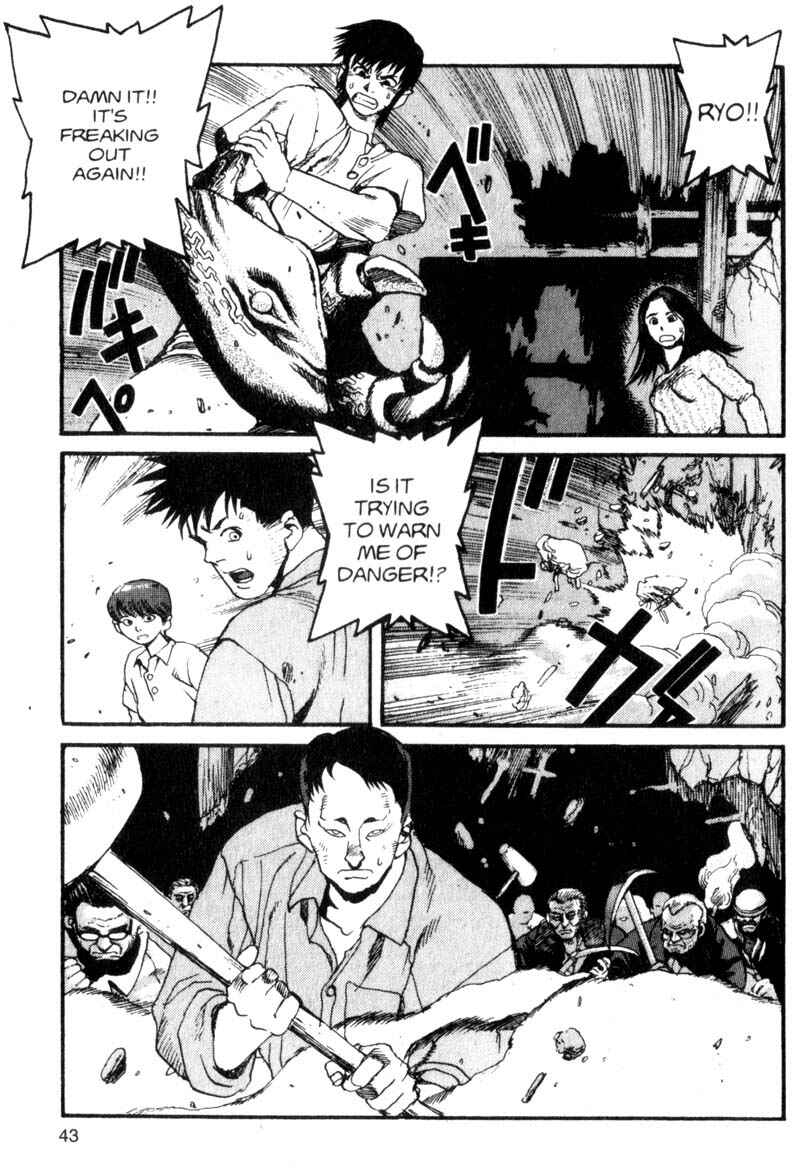 Page 4 Chapter 24 ARMS
