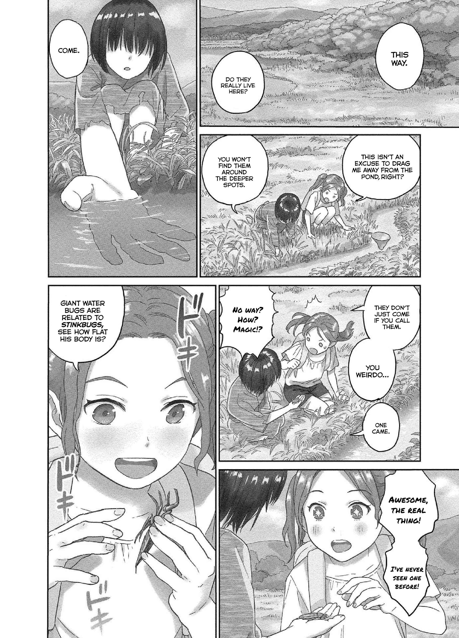 Page 4 Chapter 21 Mais Insect Life