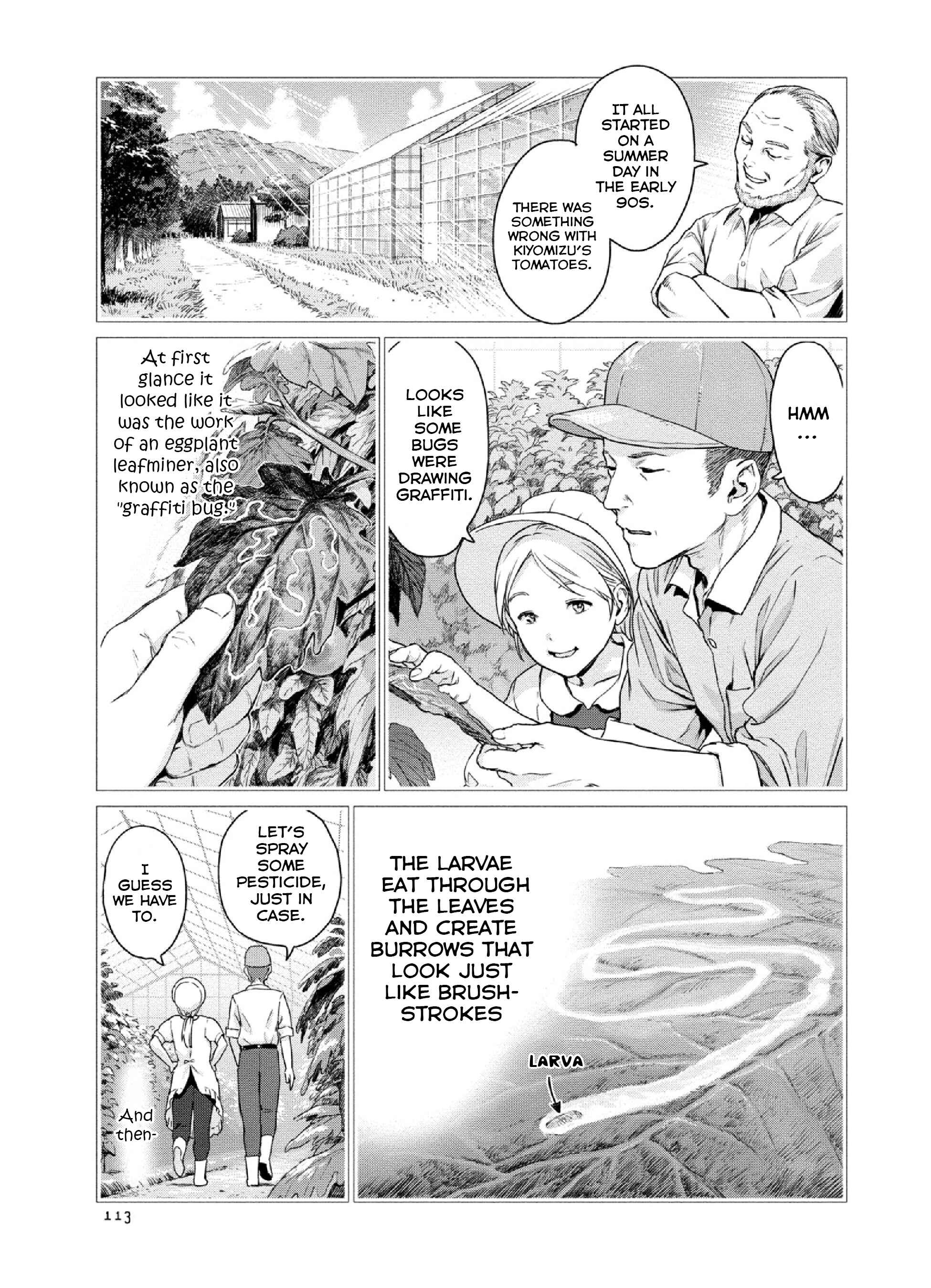 Page 3 Chapter 11 Mais Insect Life