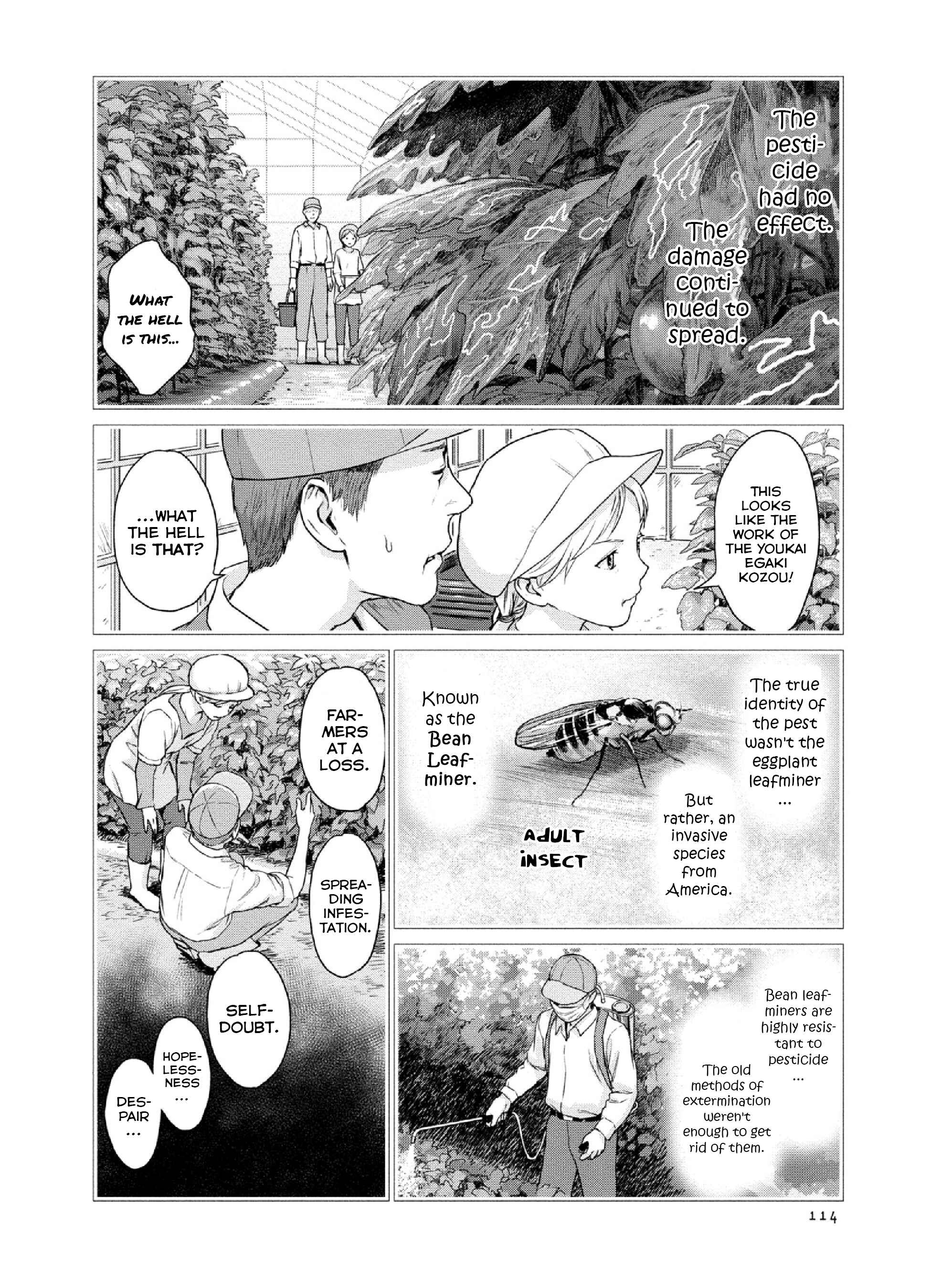 Page 4 Chapter 11 Mais Insect Life