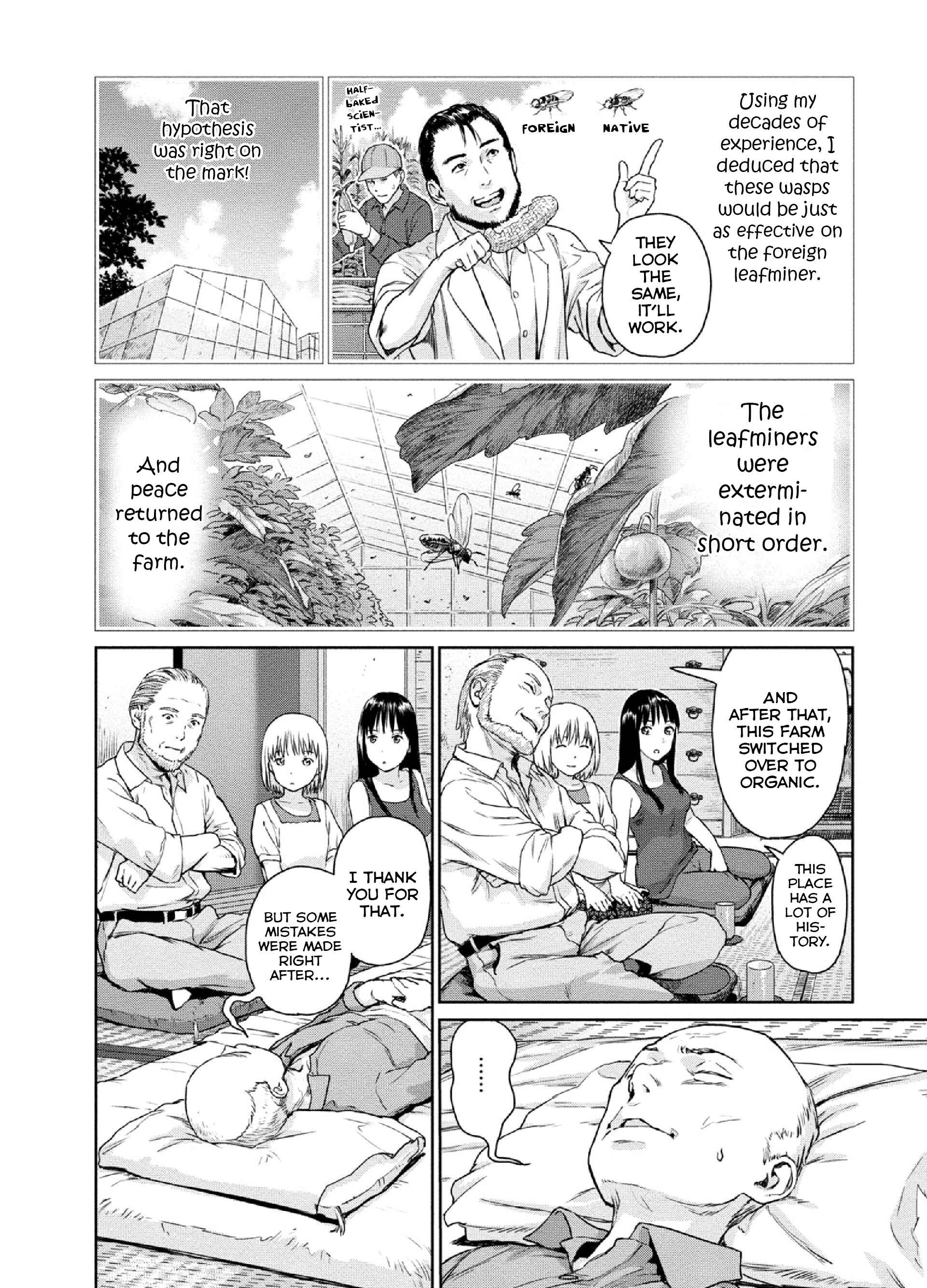 Page 6 Chapter 11 Mais Insect Life