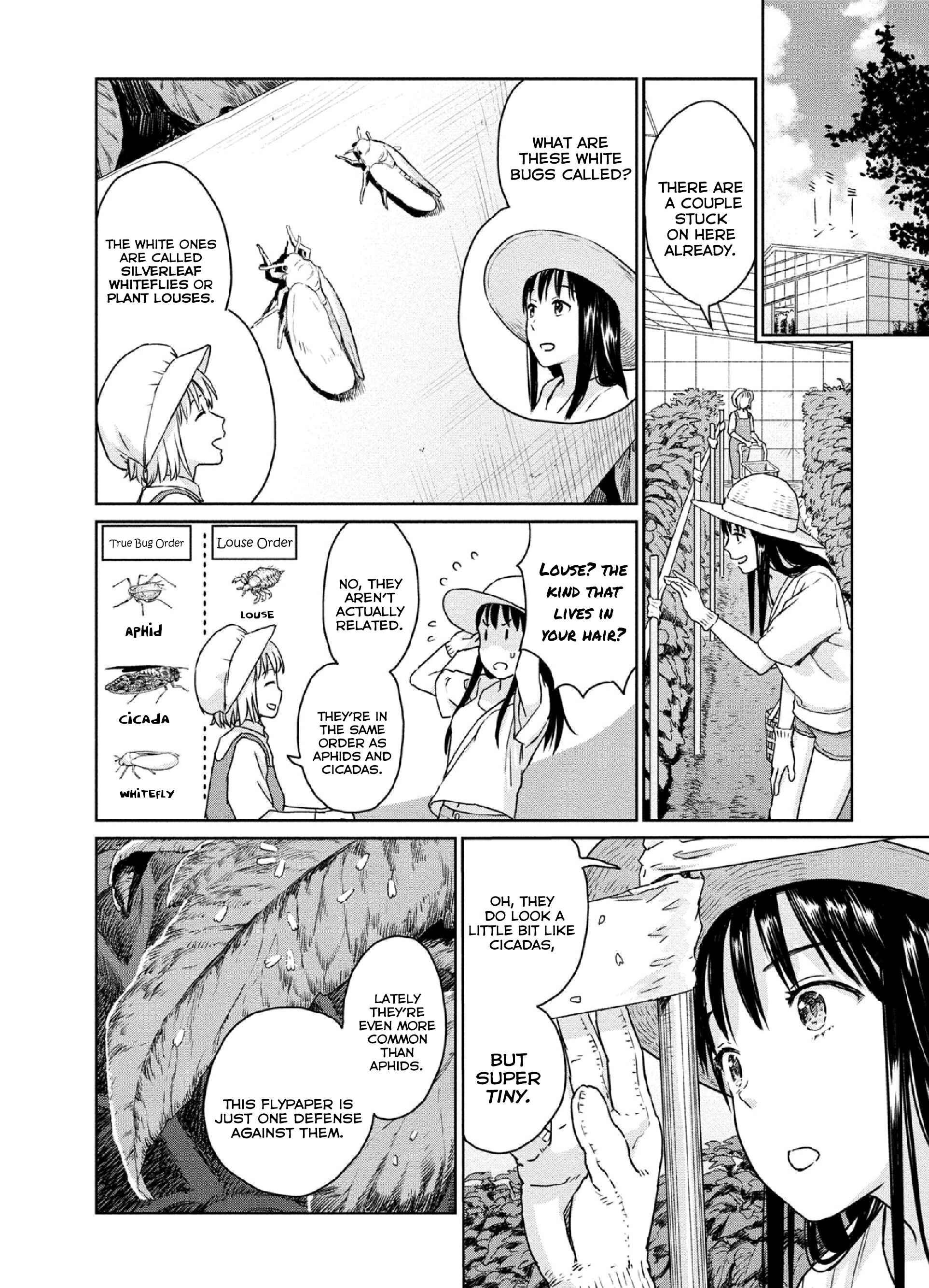 Page 4 Chapter 15 Mais Insect Life