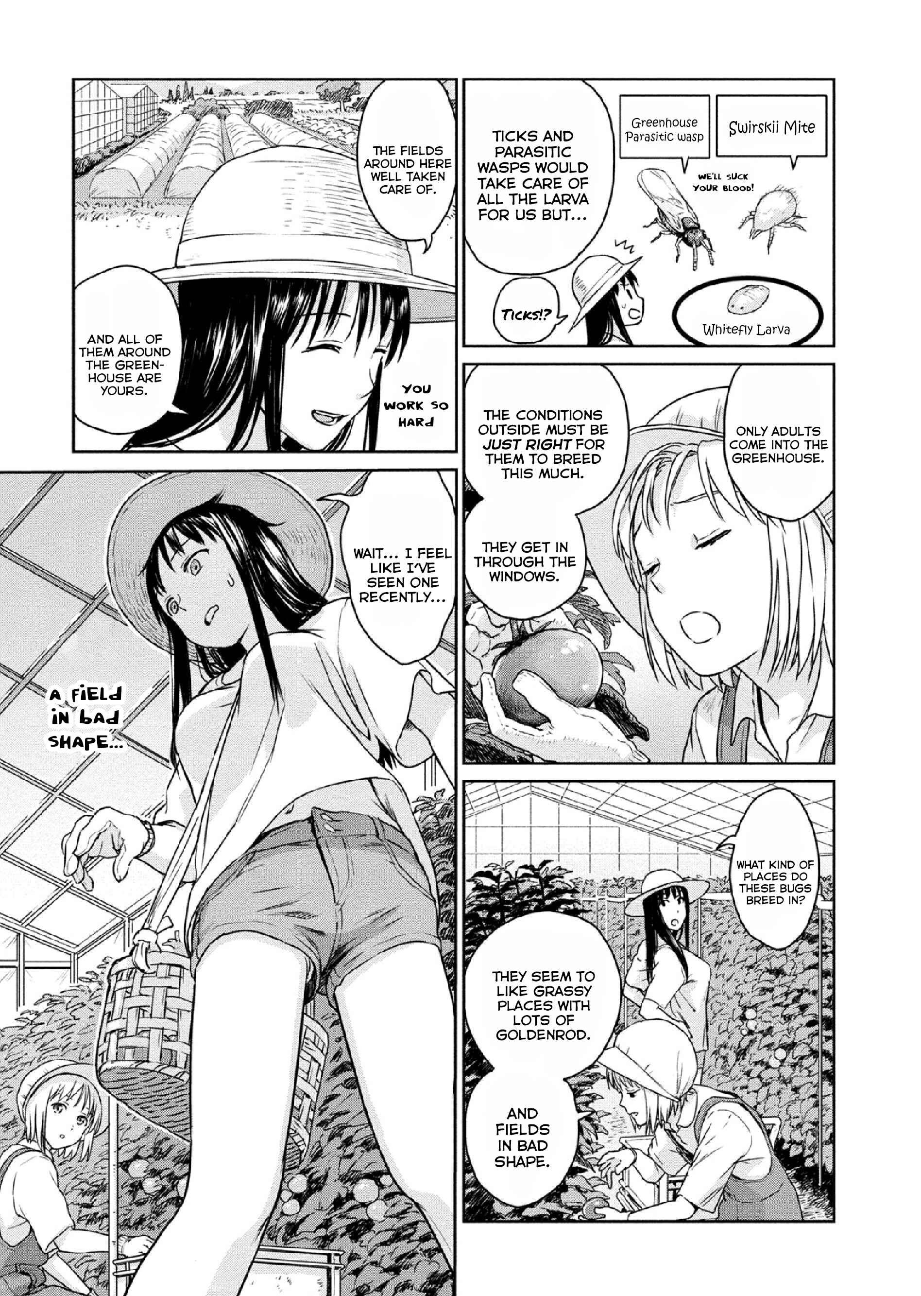 Page 5 Chapter 15 Mais Insect Life