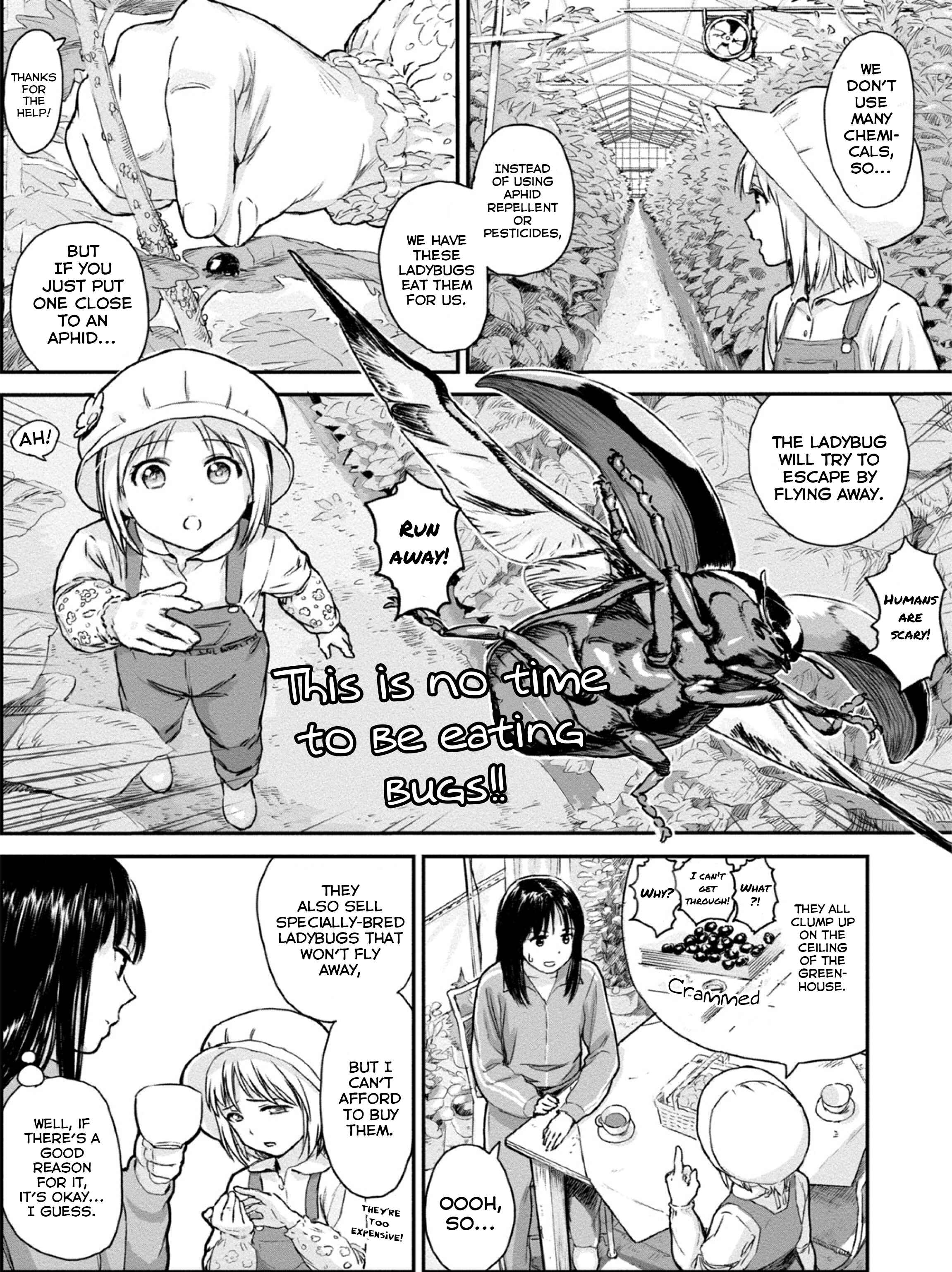 Page 8 Chapter 1 Mais Insect Life