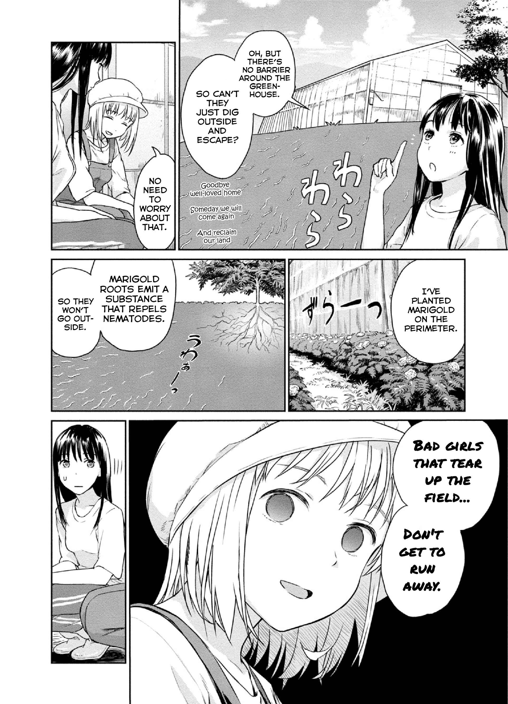 Page 6 Chapter 9 Mais Insect Life