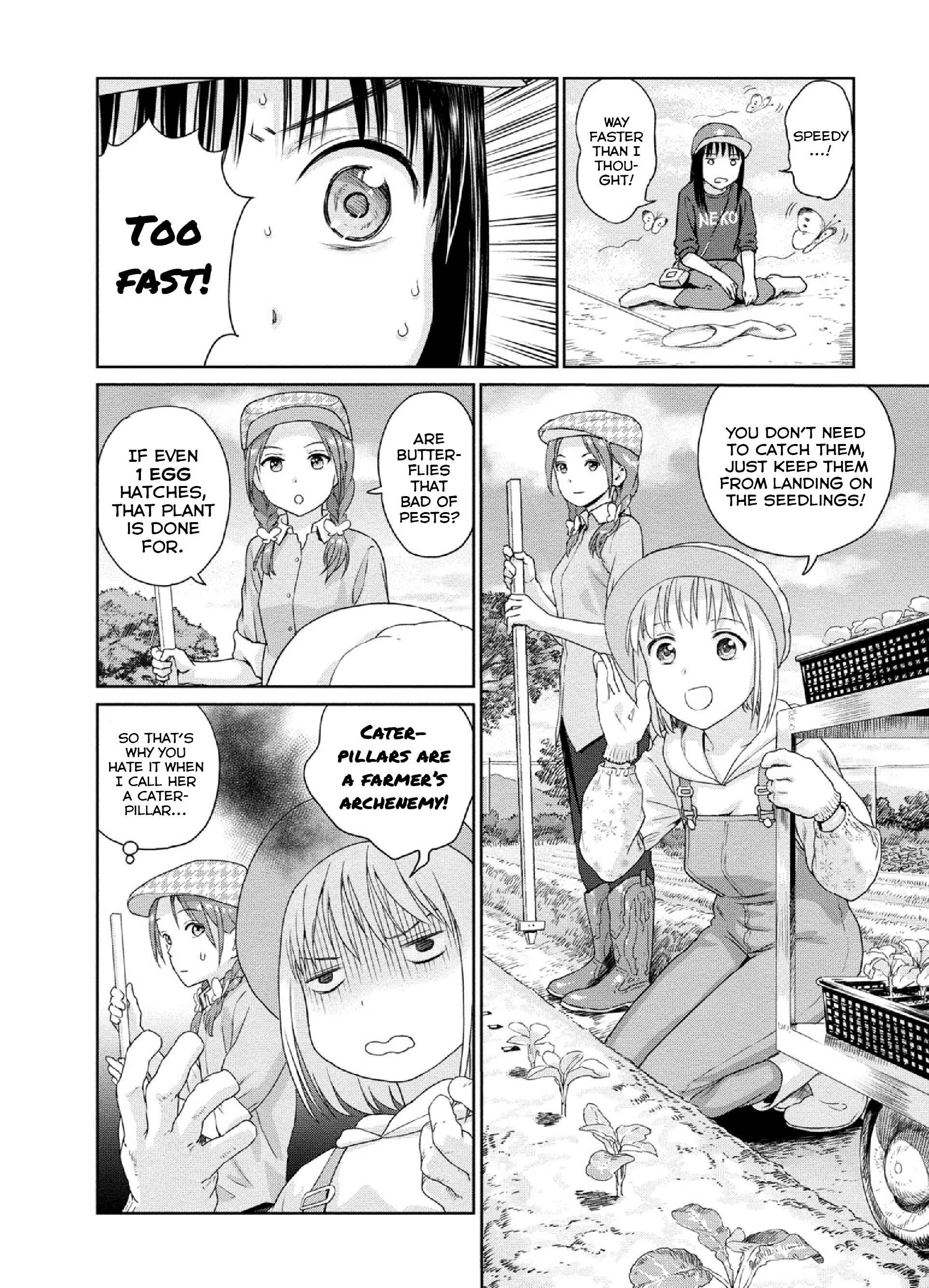 Page 6 Chapter 5 Mais Insect Life