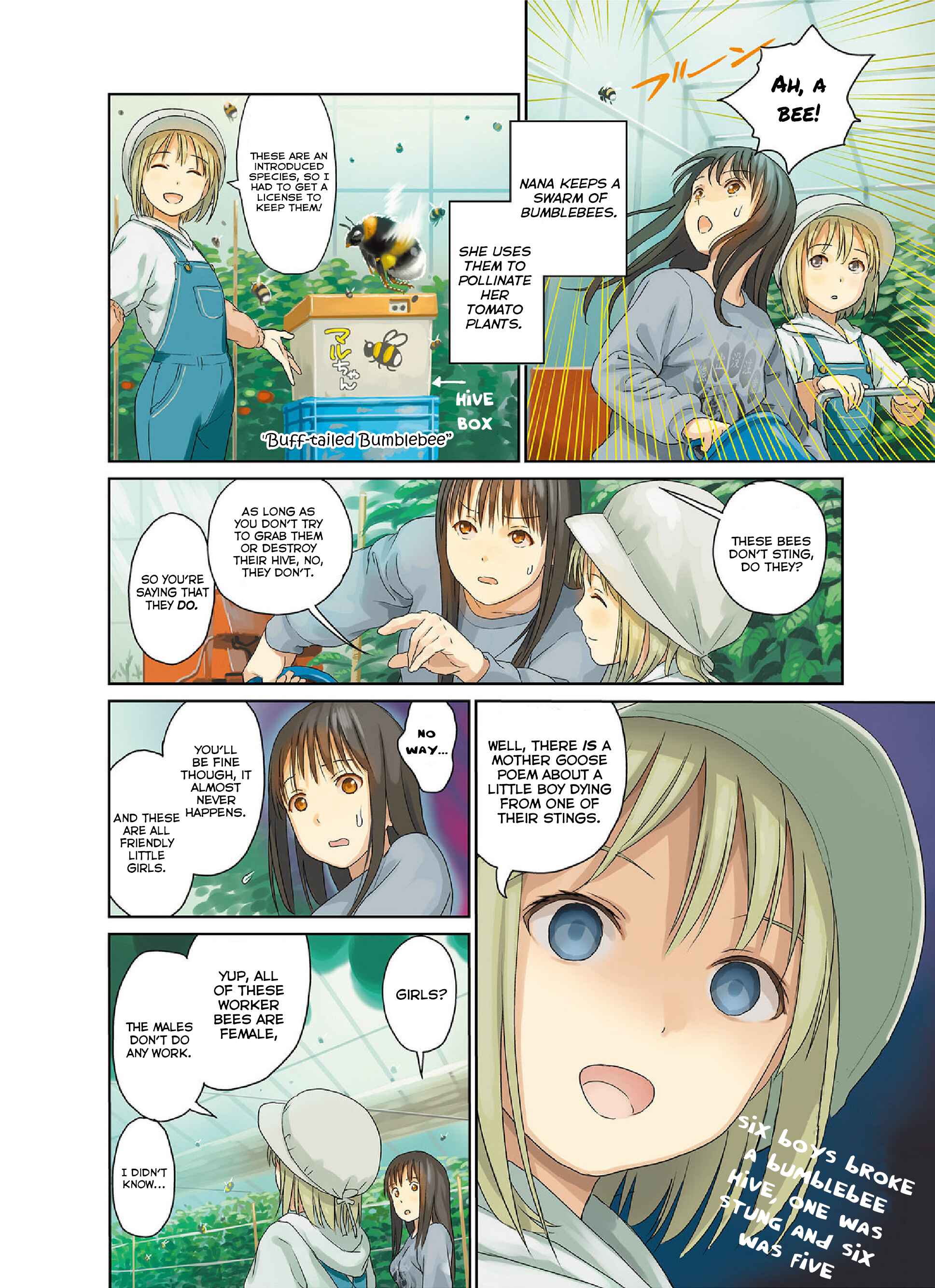 Page 4 Chapter 34.1 Mais Insect Life