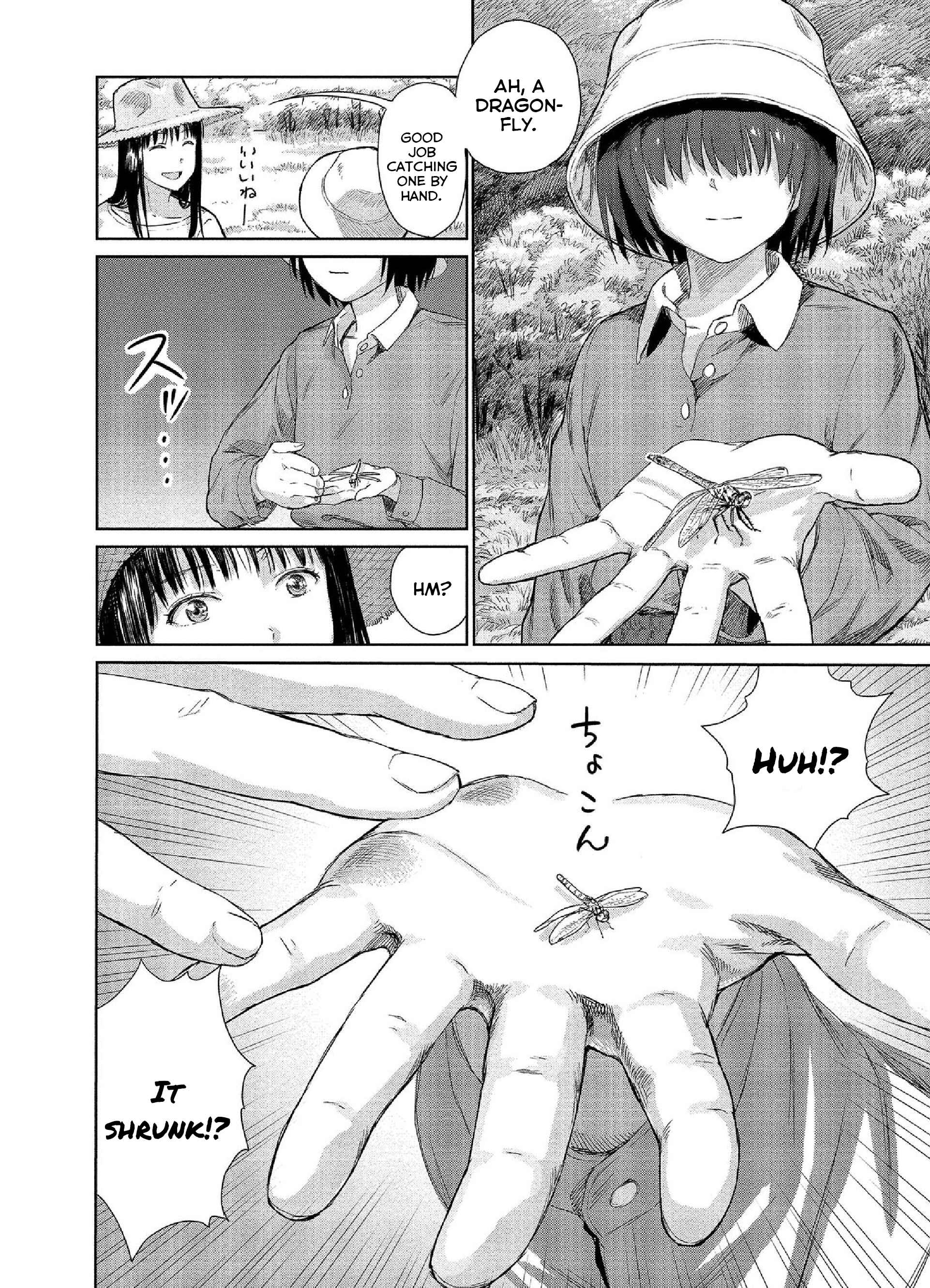Page 4 Chapter 17 Mais Insect Life