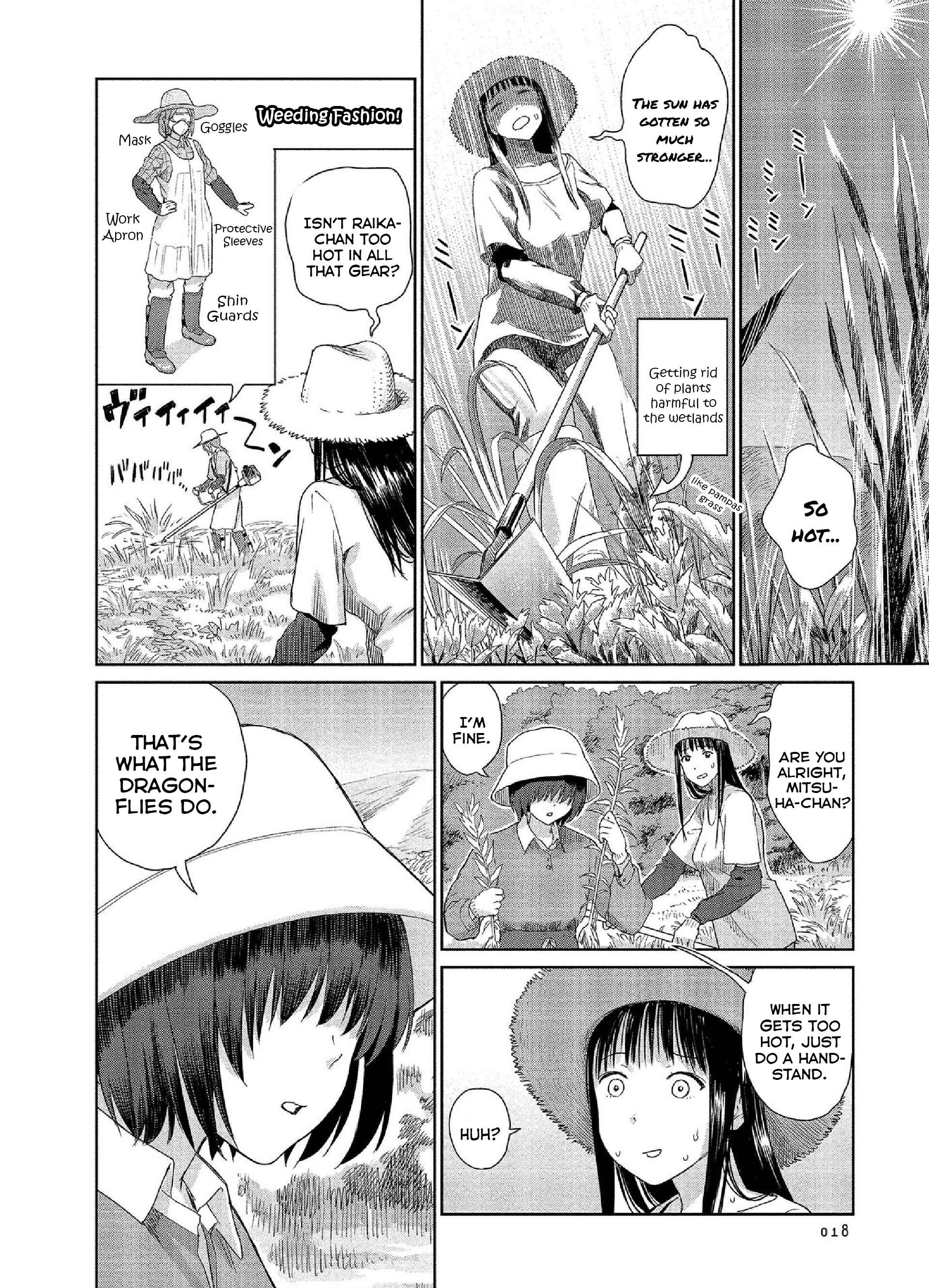 Page 6 Chapter 17 Mais Insect Life