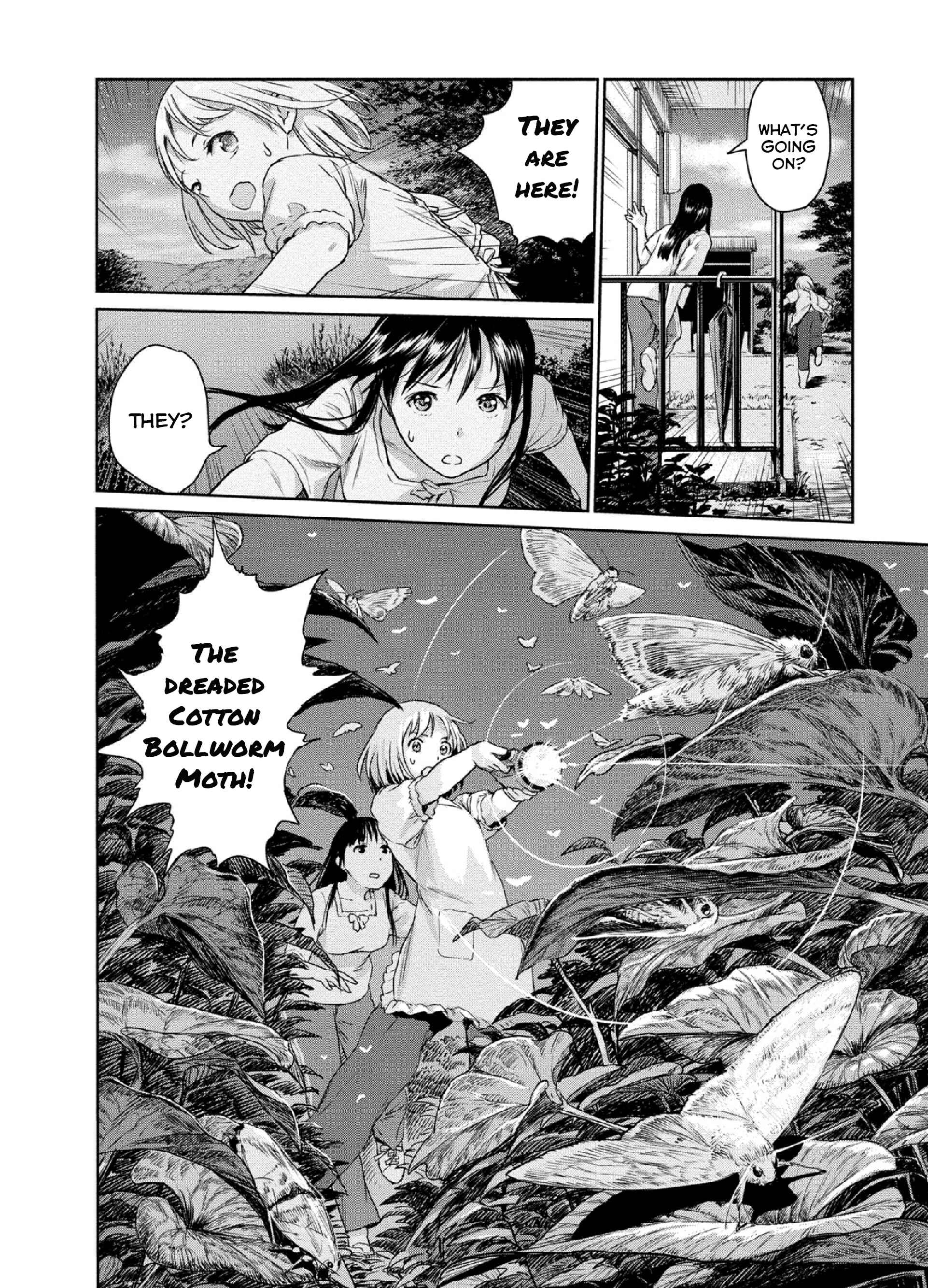 Page 2 Chapter 10 Mais Insect Life