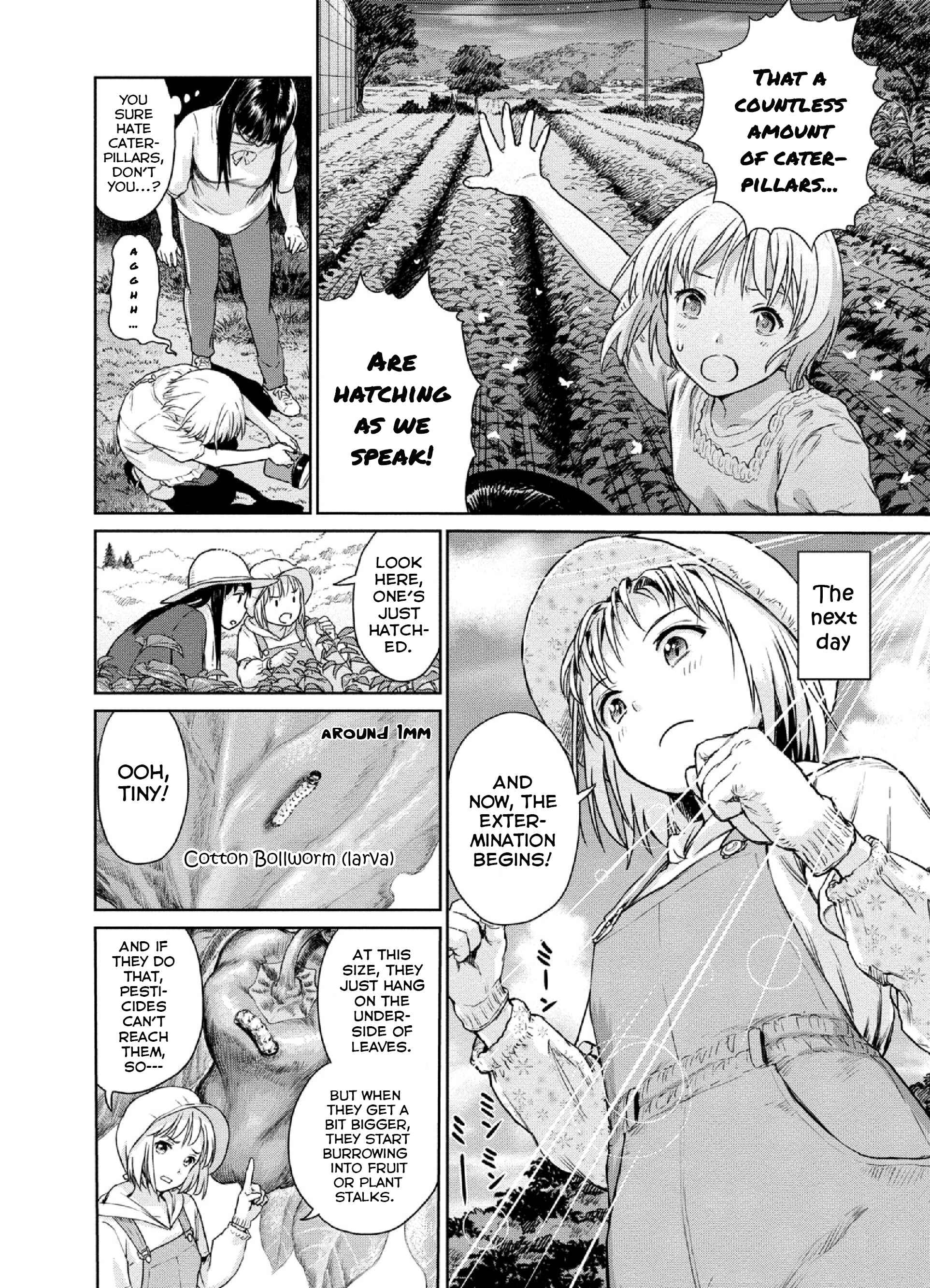 Page 4 Chapter 10 Mais Insect Life