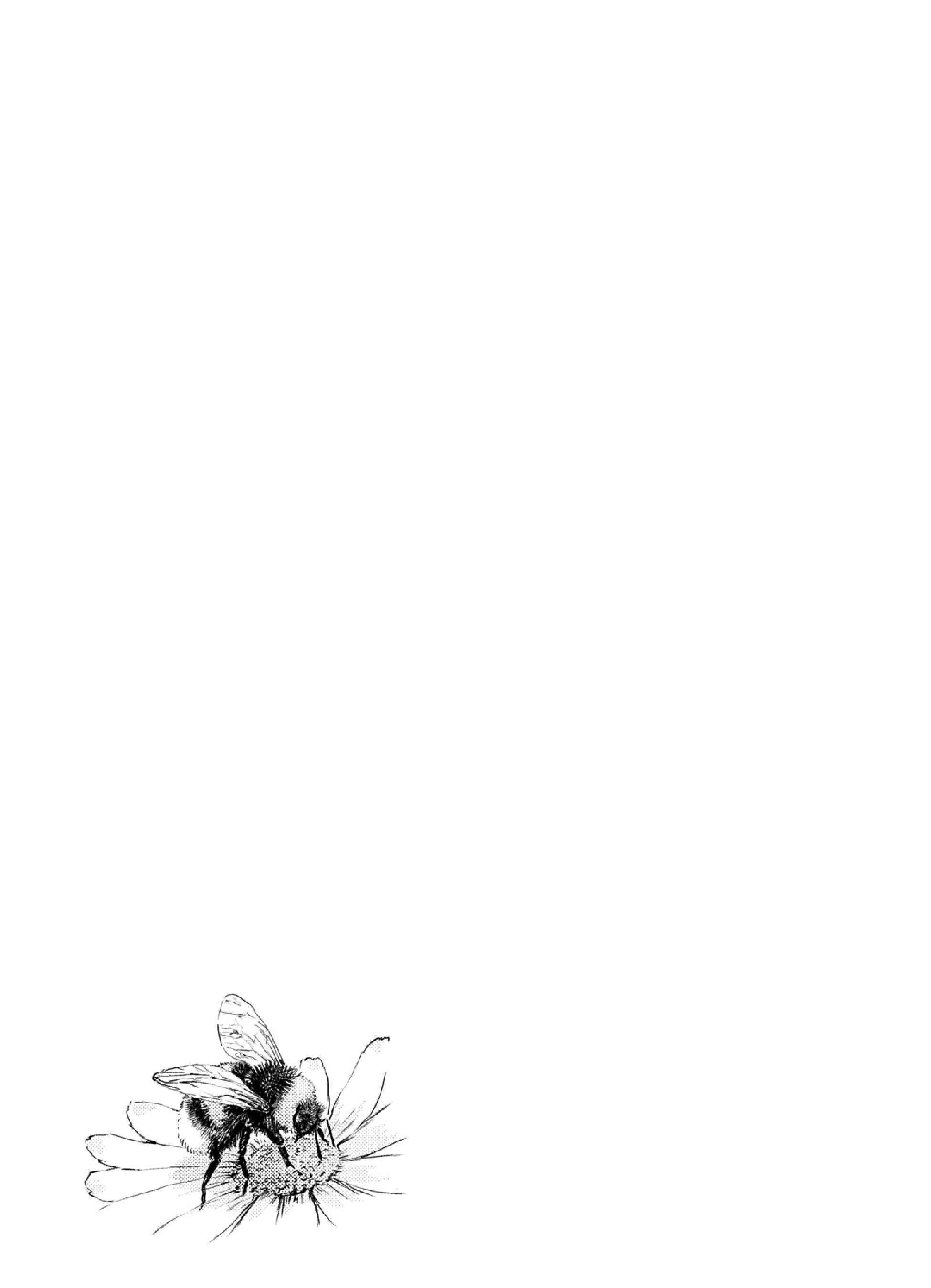 Page 9 Chapter 10 Mais Insect Life