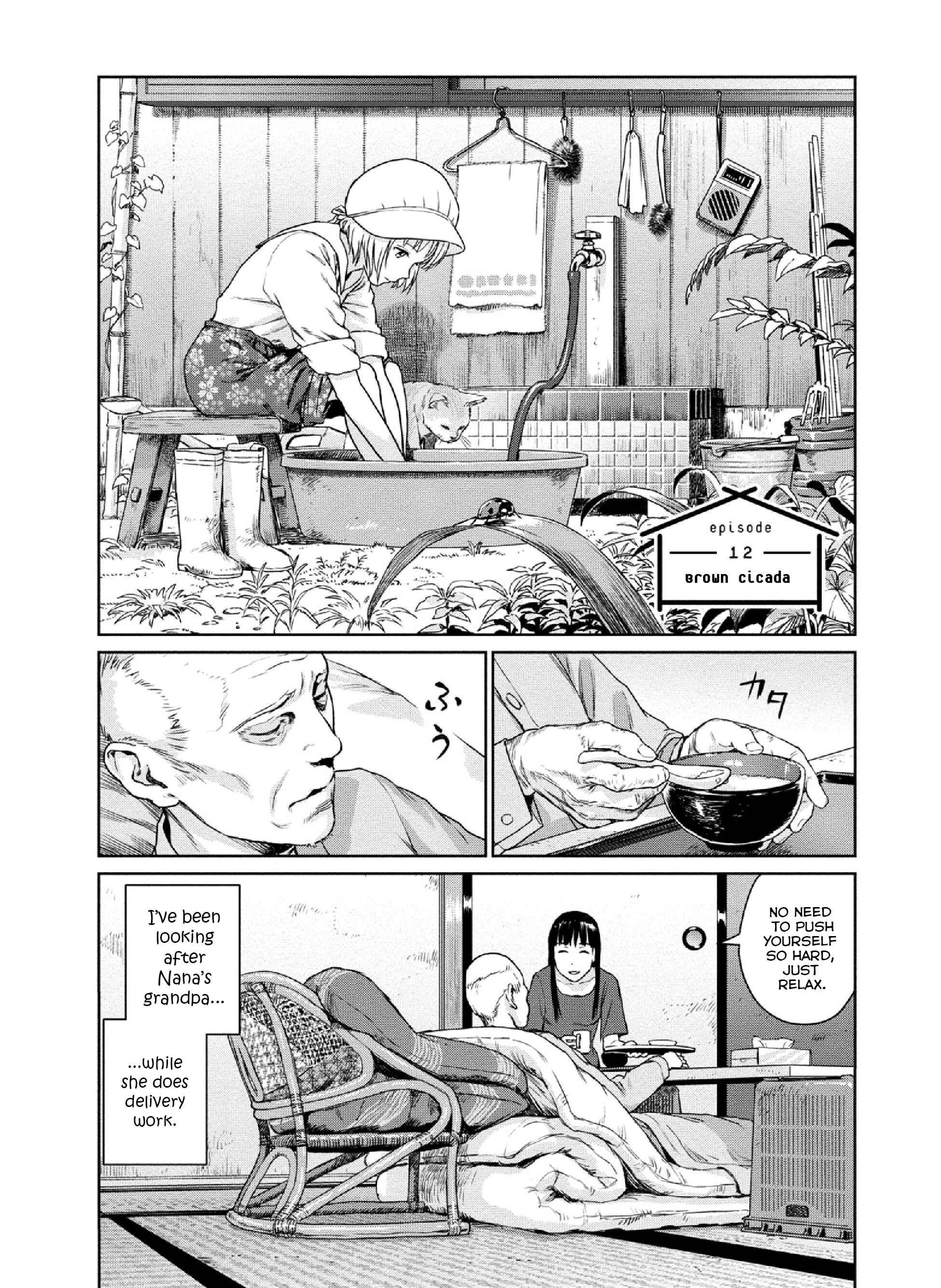 Page 1 Chapter 12 Mais Insect Life