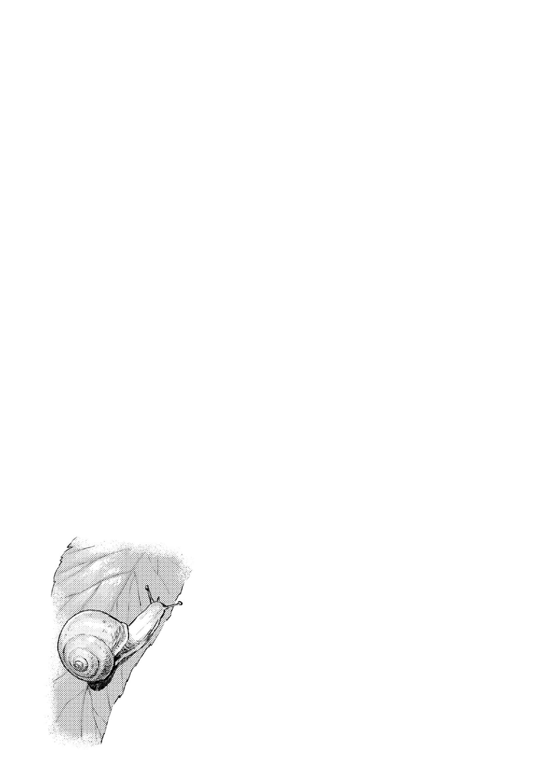 Page 9 Chapter 12 Mais Insect Life