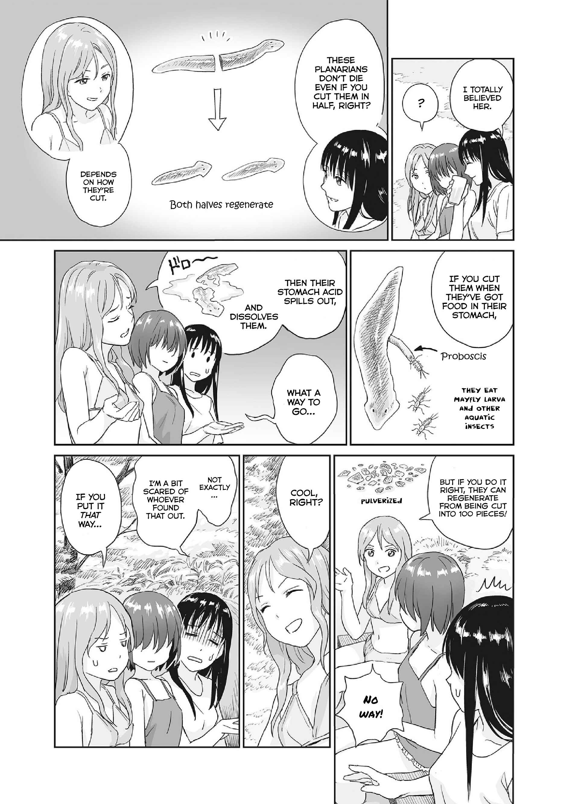 Page 5 Chapter 34.6 Mais Insect Life