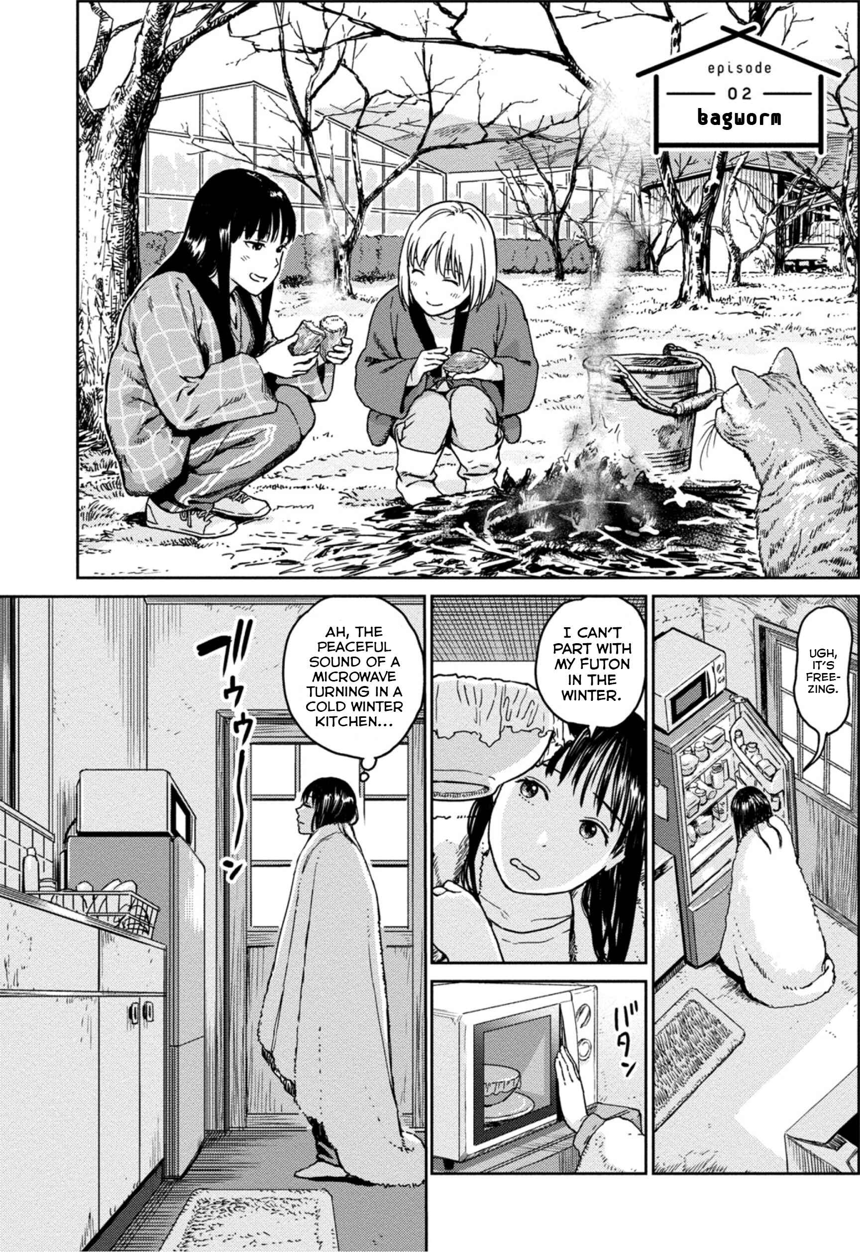 Page 1 Chapter 2 Mais Insect Life