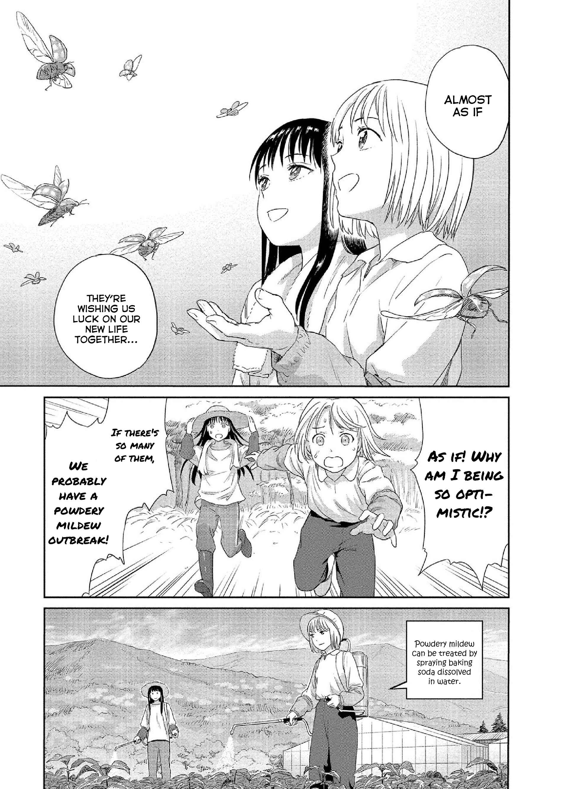 Page 5 Chapter 34 Mais Insect Life