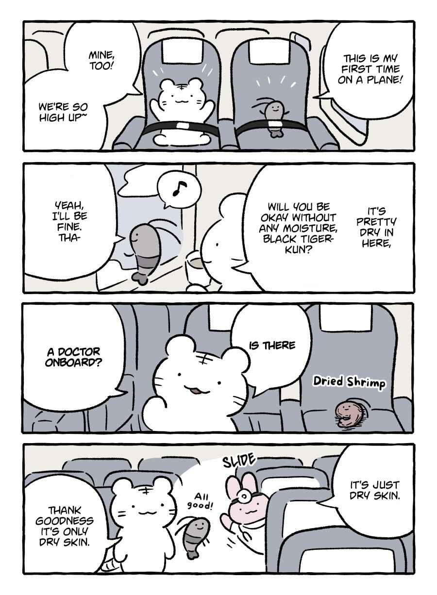 Page 1 Chapter 8 White Tiger and Black Tiger