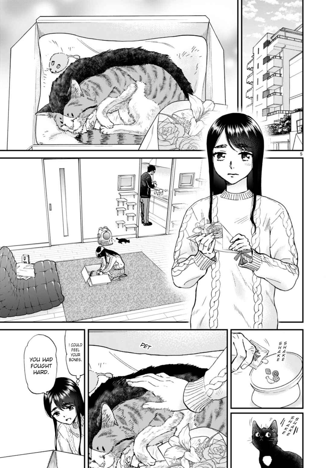 Page 5 Chapter 14 Hosomura-san and the Cats Snack