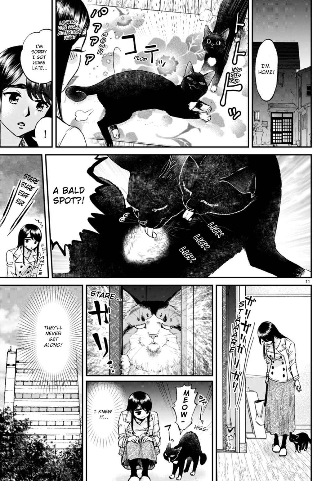 Page 11 Chapter 13 Hosomura-san and the Cats Snack