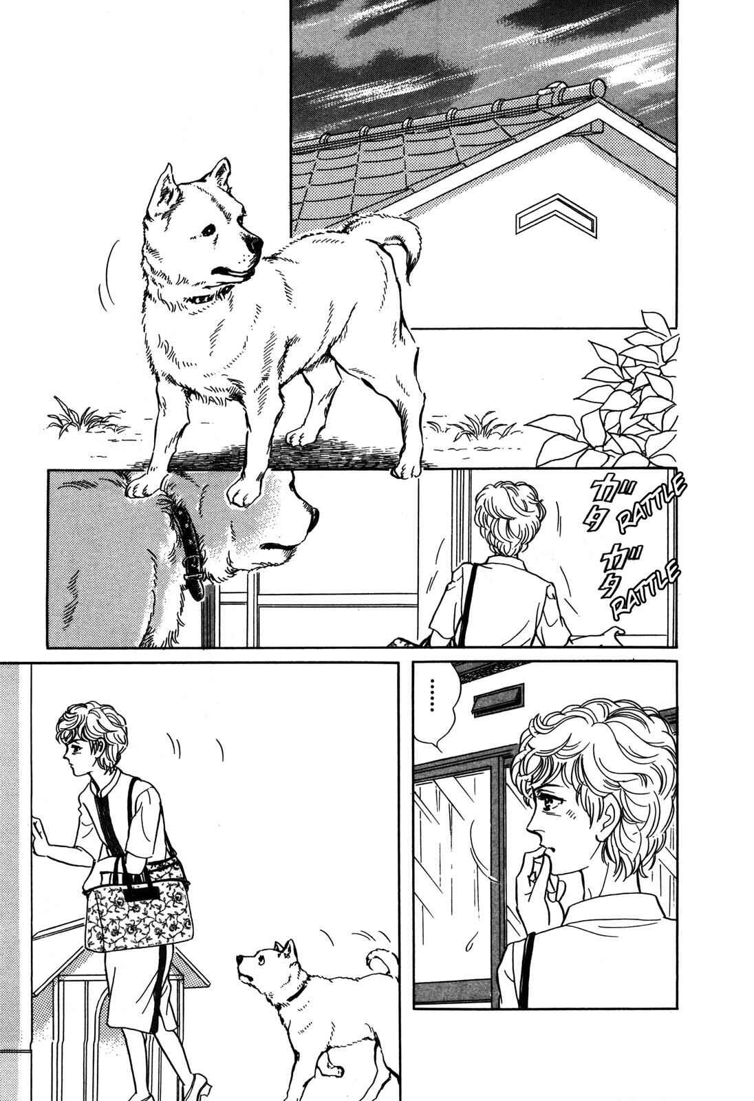 Page 3 Chapter 6 Wonder!