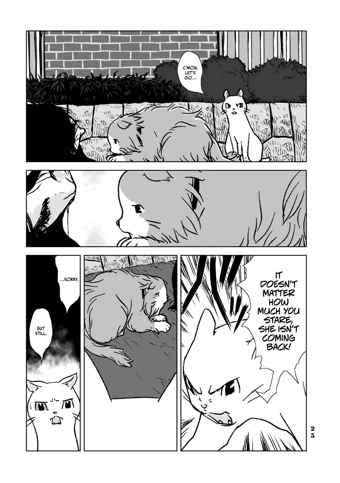 Page 5 Chapter 2 No cats were harmed in this comic.