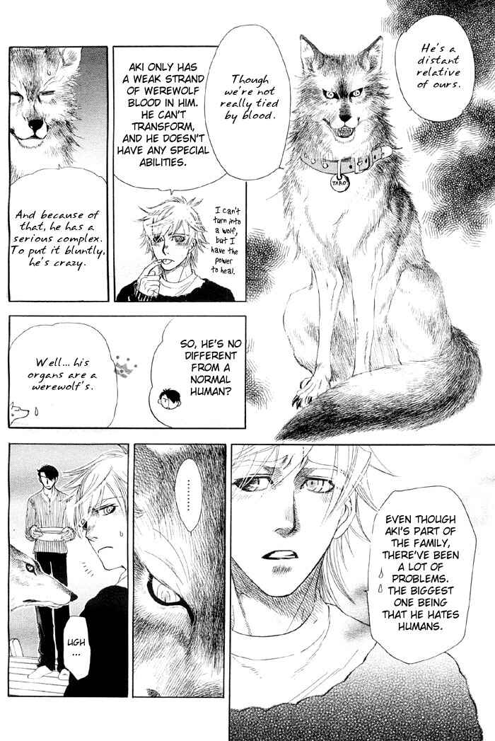 Page 13 Chapter 4 Three Wolves Mountain