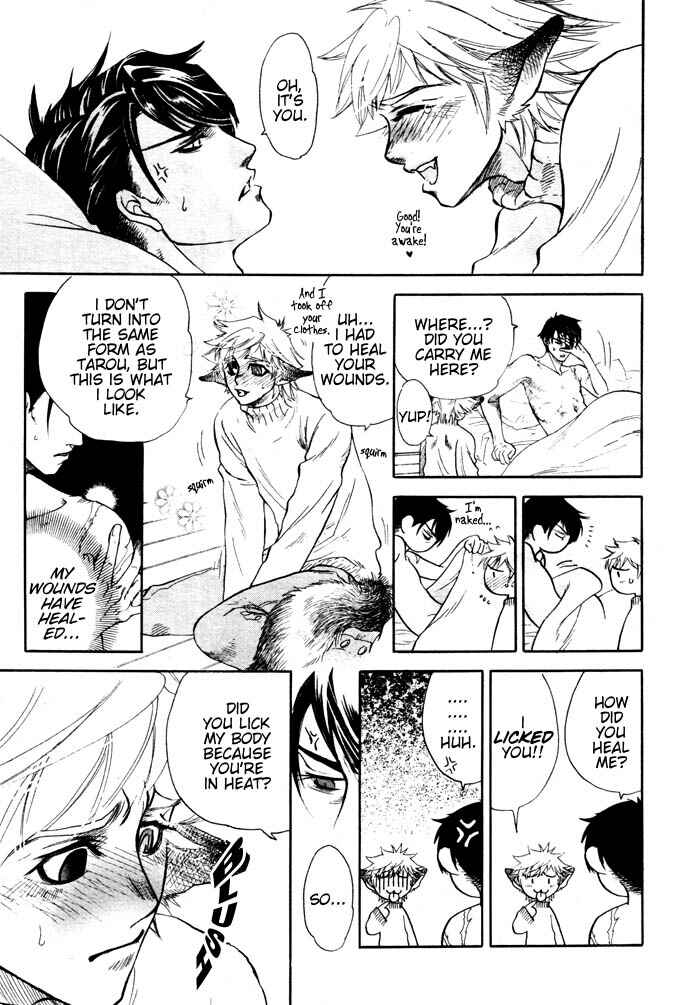 Page 26 Chapter 1 Three Wolves Mountain