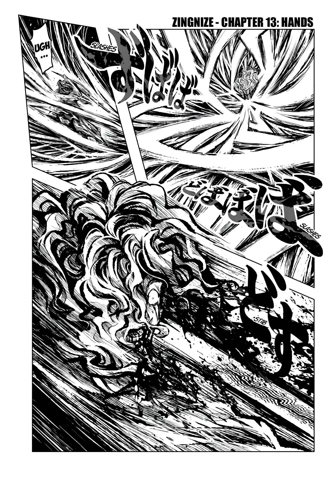 Page 2 Chapter 13 ZINGNIZE