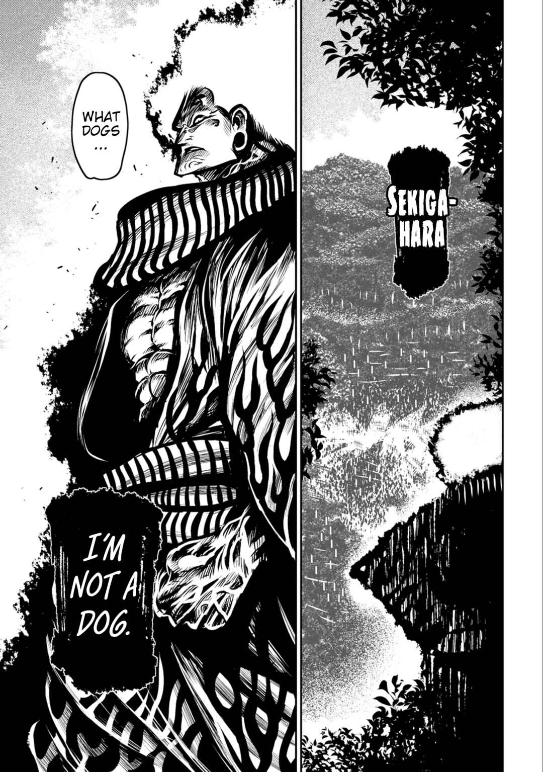Page 28 Chapter 41 ZINGNIZE