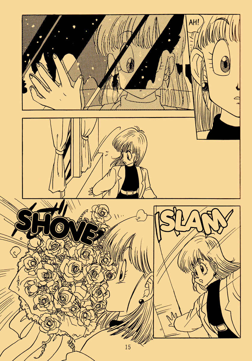Page 15 Chapter Unknown_3d83 Dragon Ball - Happy Christmas (Doujinshi)