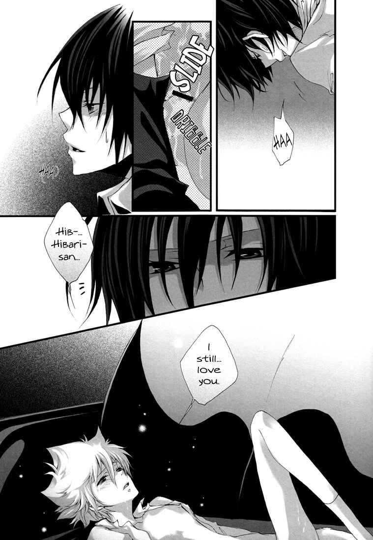 Page 15 Chapter Unknown_22cd Katekyo Hitman Reborn! - Alienazione Mentale (Doujinshi)