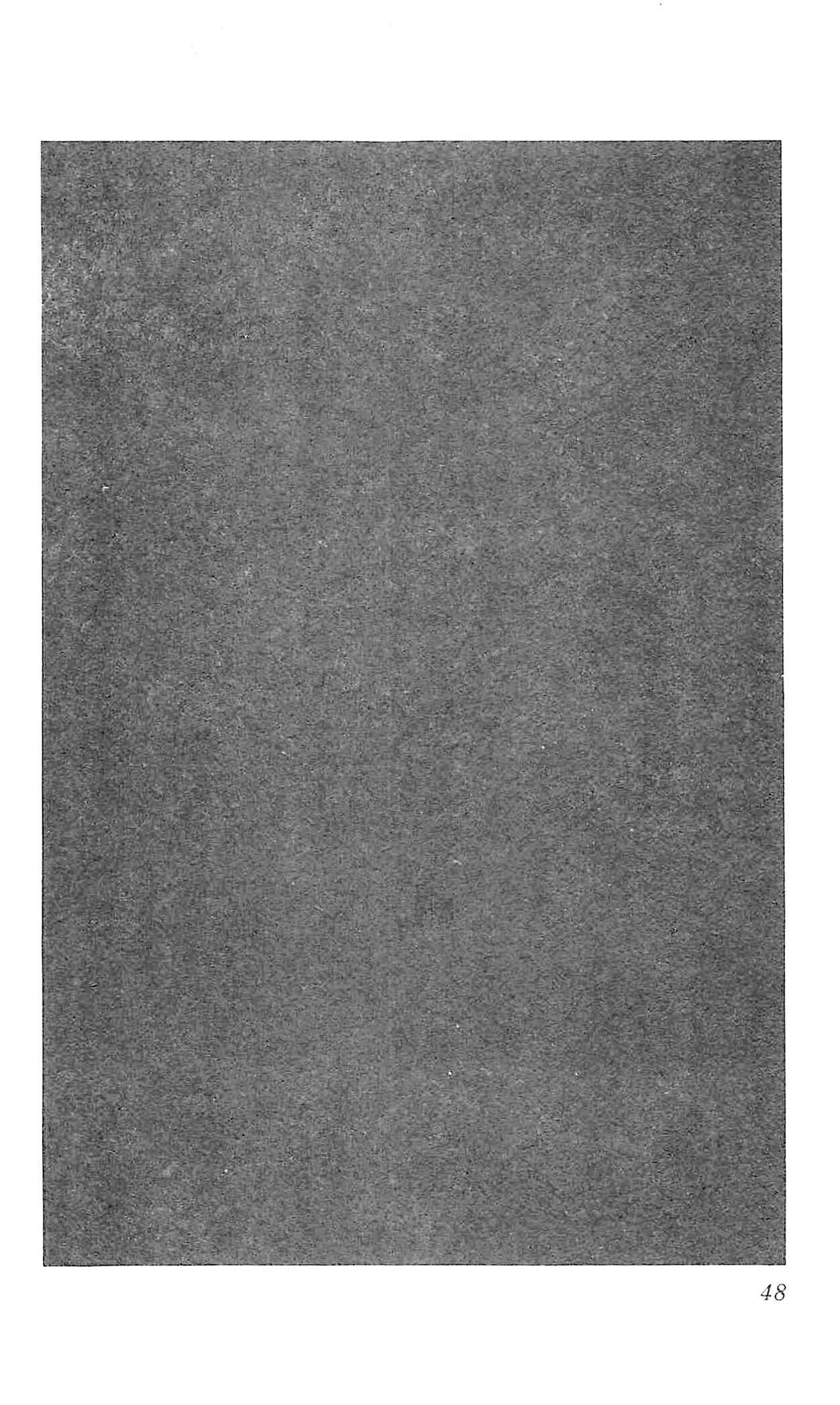 Page 48 Chapter 1 California Monogatari