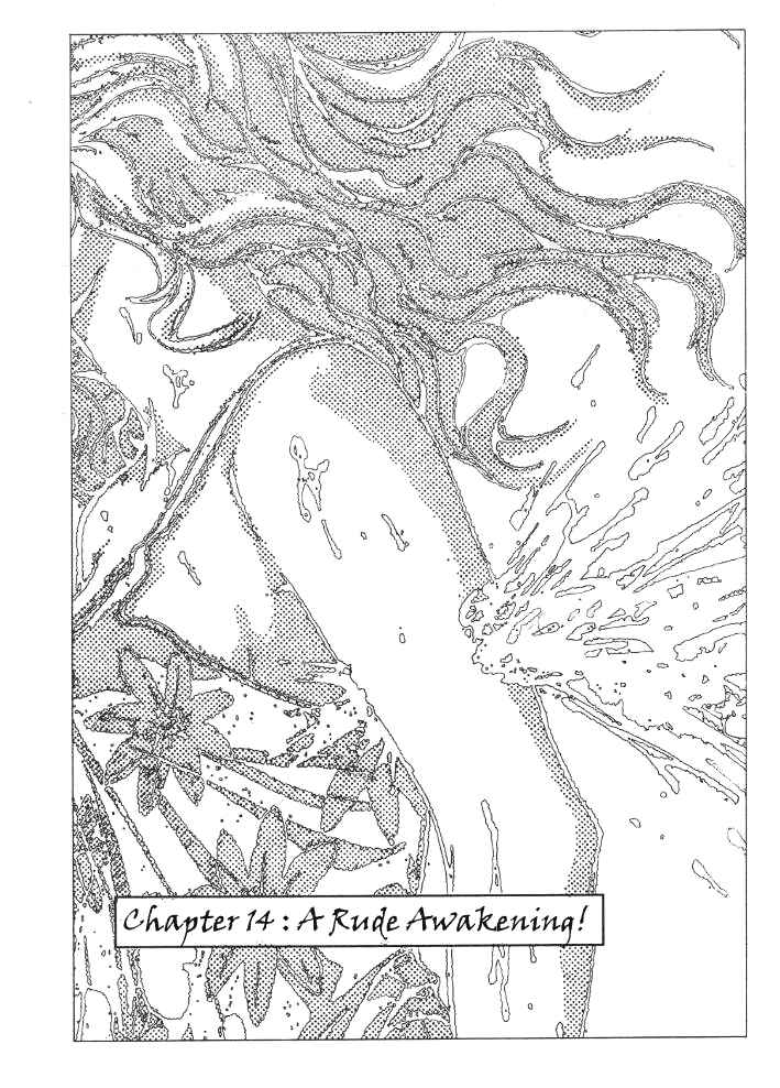 Page 1 Chapter 14 Shiryou Kari